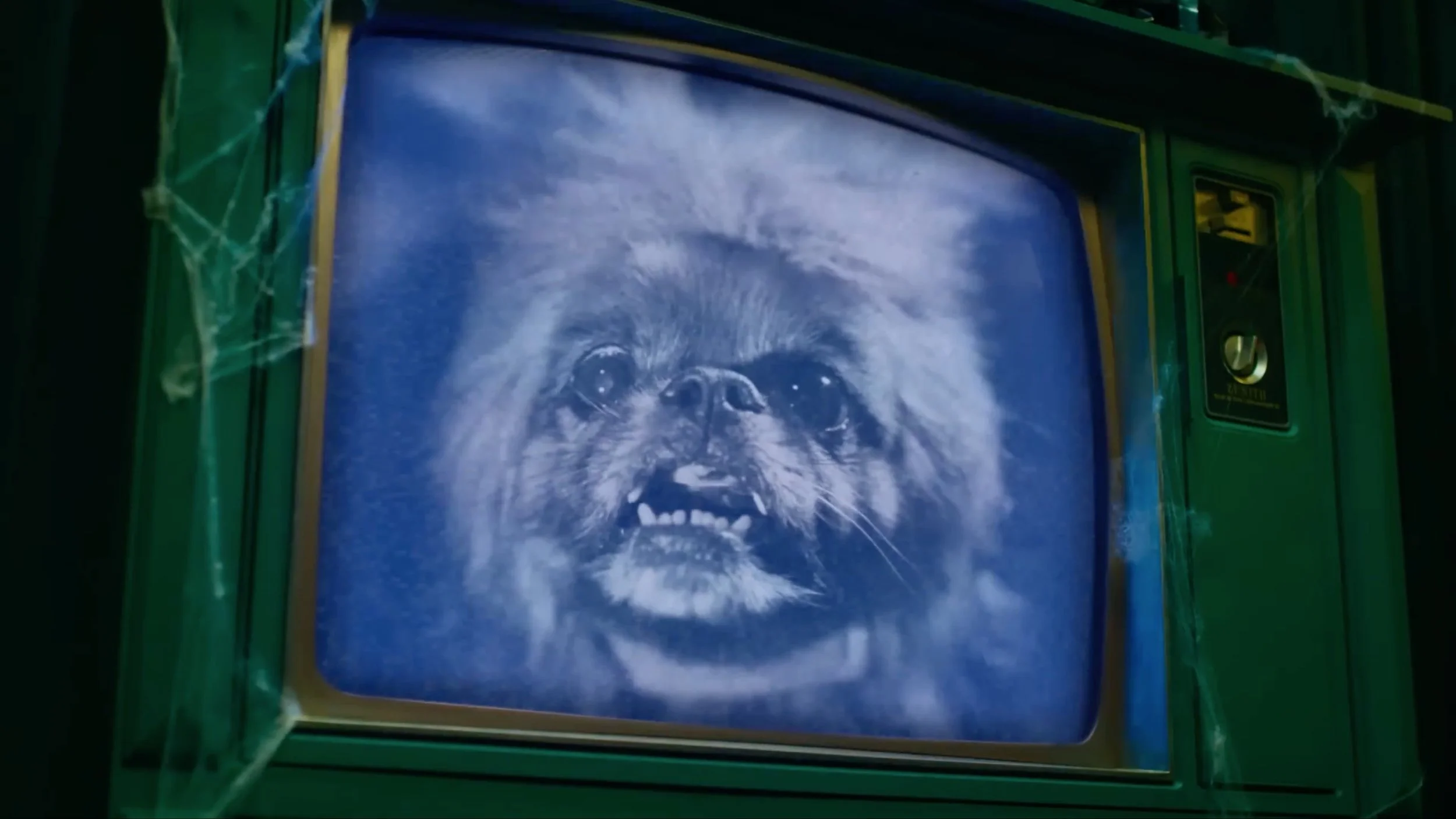 Old green television screen displaying a ghostly image of a dog with wide eyes and teeth, with cobwebs on the edges of the TV.
