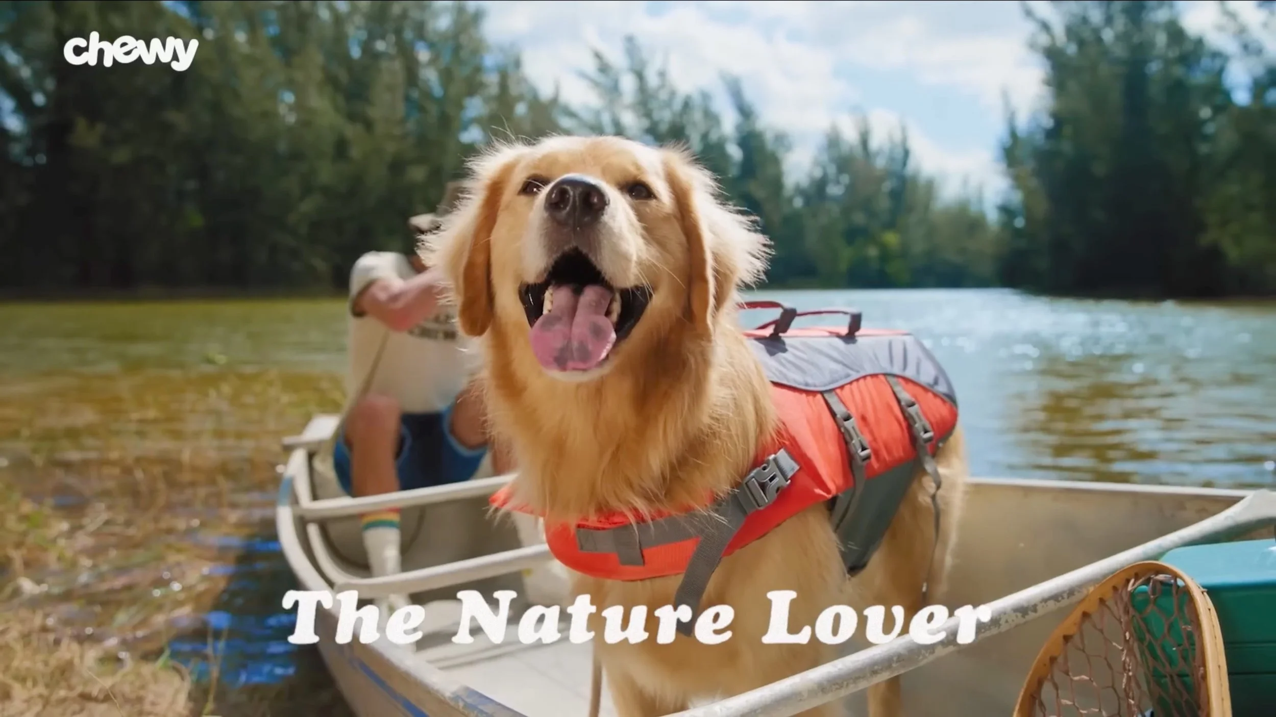 A golden retriever dog wearing a red life jacket in a boat on a river, with a person in the background and trees on the riverbank, under a sunny sky. Text overlay reads 'The Nature Lover' and a logo 'chewy' is in the top left corner.