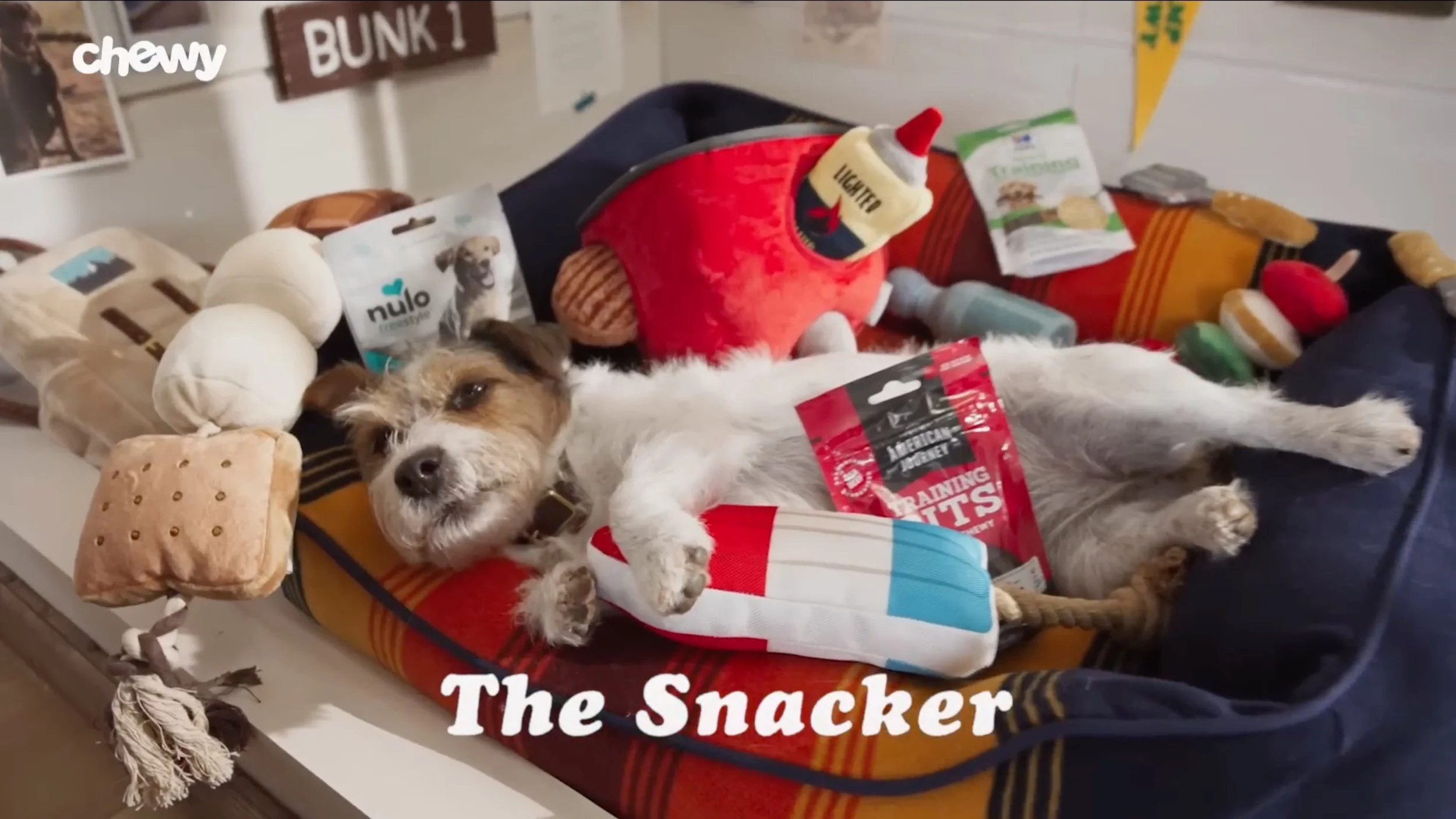 A dog lying on its back among various dog treats and toys, with the caption 'The Snacker' at the bottom.