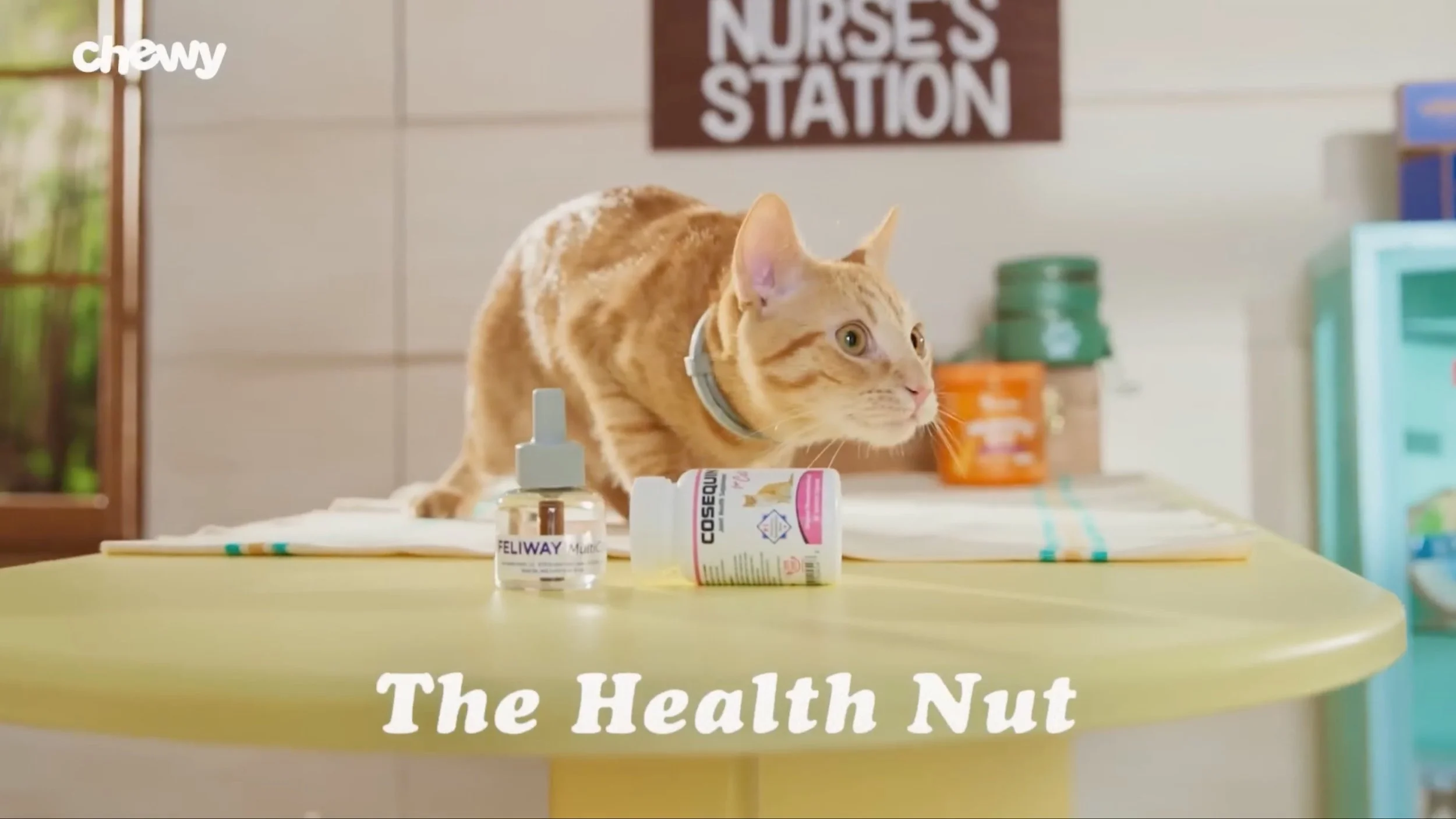 An orange tabby cat wearing a collar on a yellow table with medicine bottles, in a veterinary clinic. There is a sign that says 'NURSES STATION' on the wall behind it. Text on the image reads 'The Health Nut'.