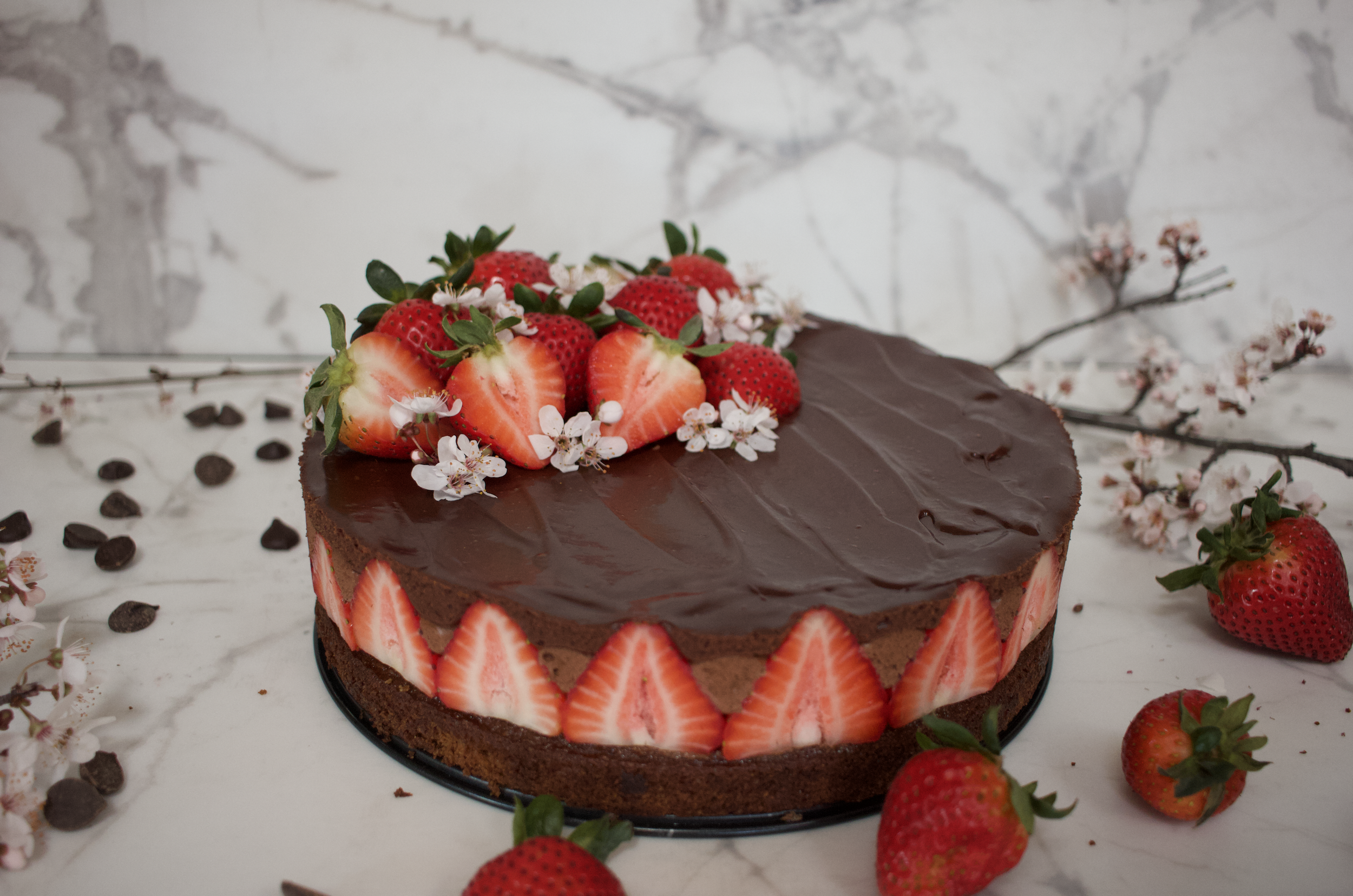 Screenshot 2025-11-26 at 8.48.03 AM.png