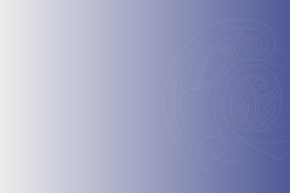 Te Hauora o Ngāti Hauā Trust