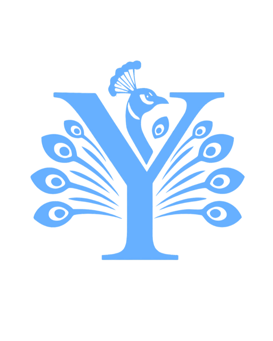 Yale Model United Nations South Asia