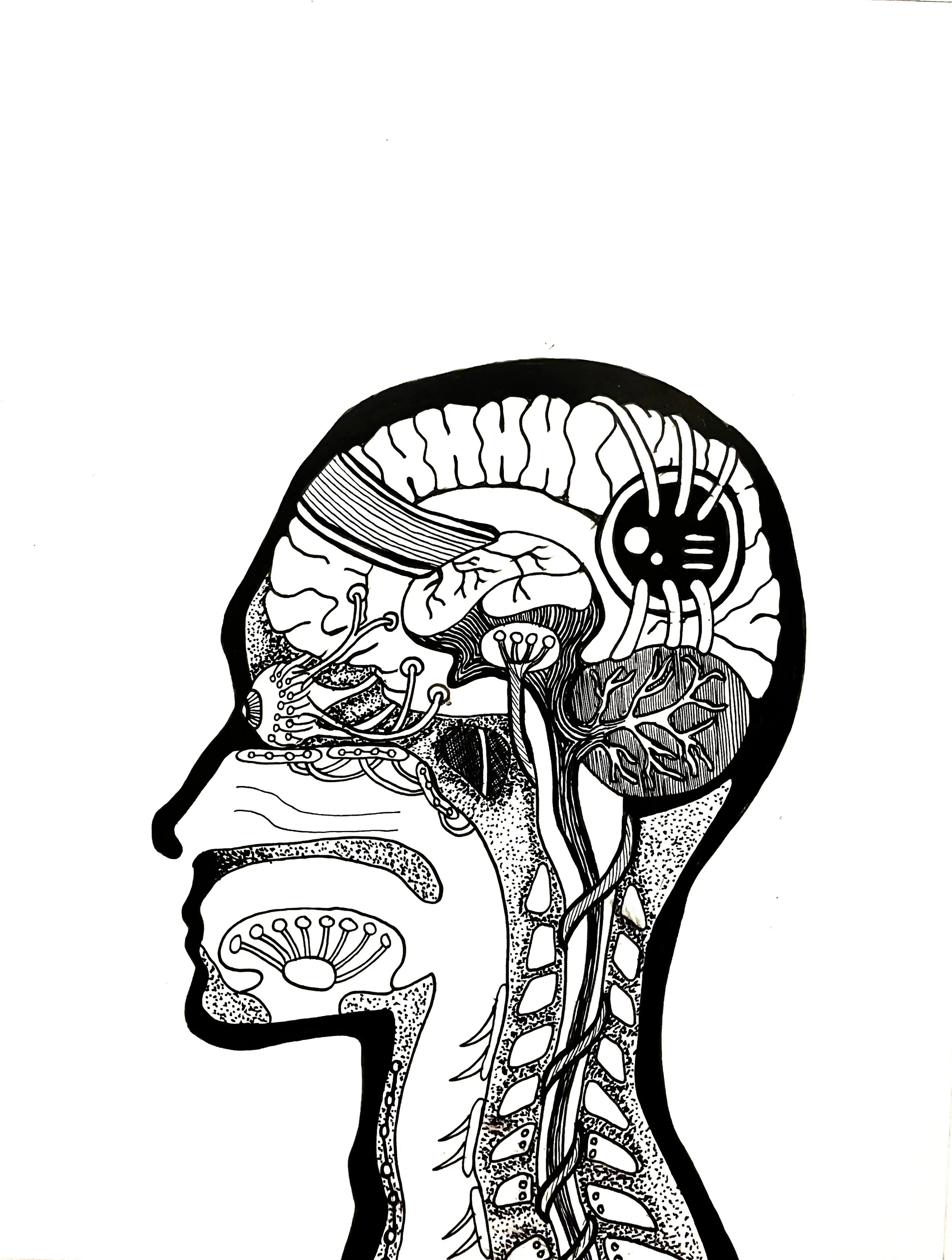 FullSizeRender 3 copy 2.jpg