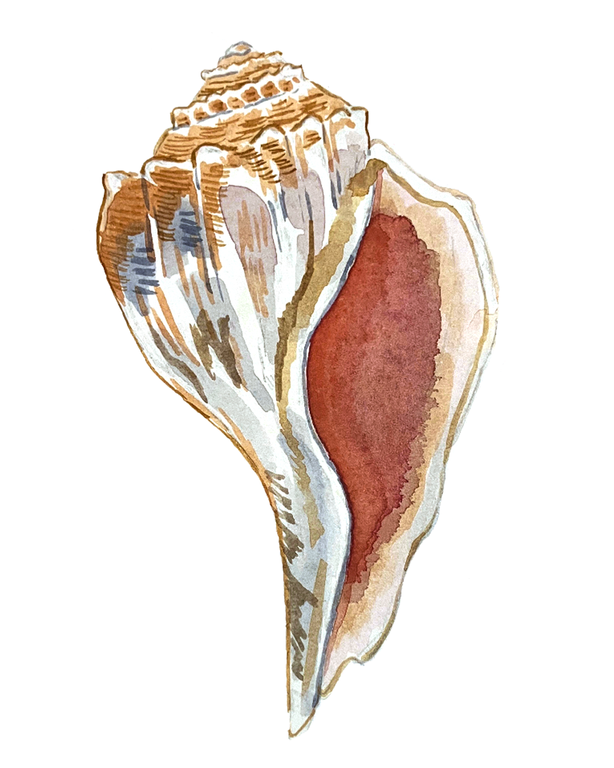 Colleen Cardoza Poster.png