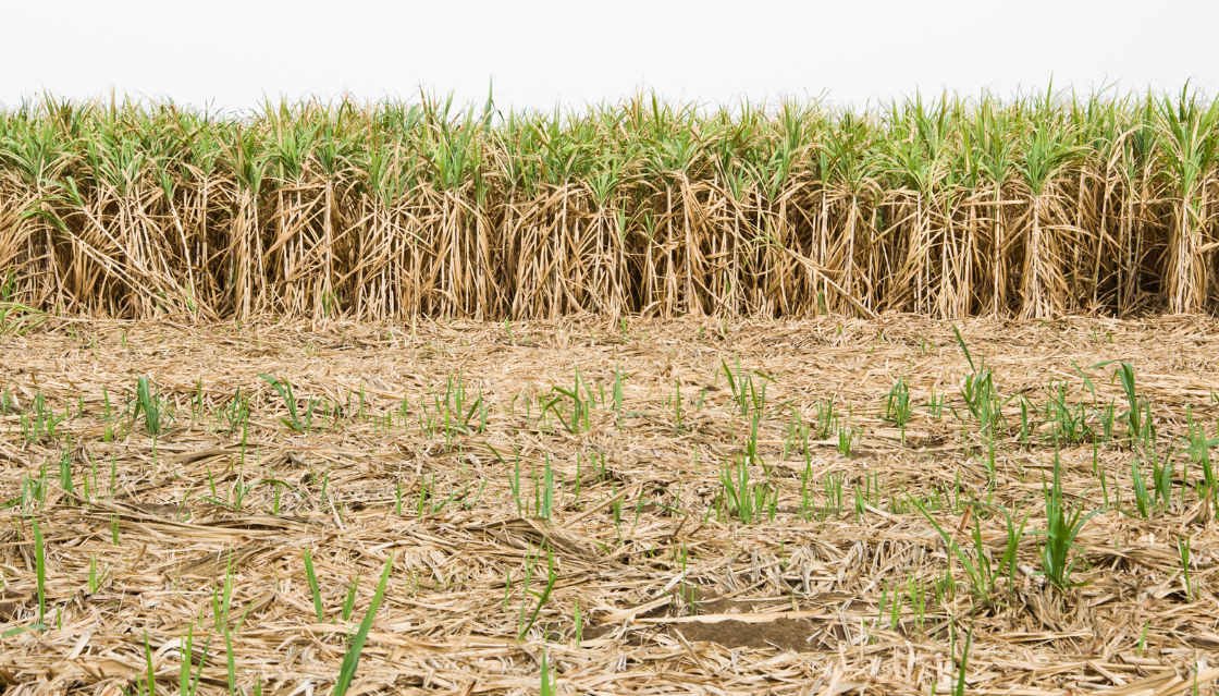 Farm Purchase Due Diligence Checklist