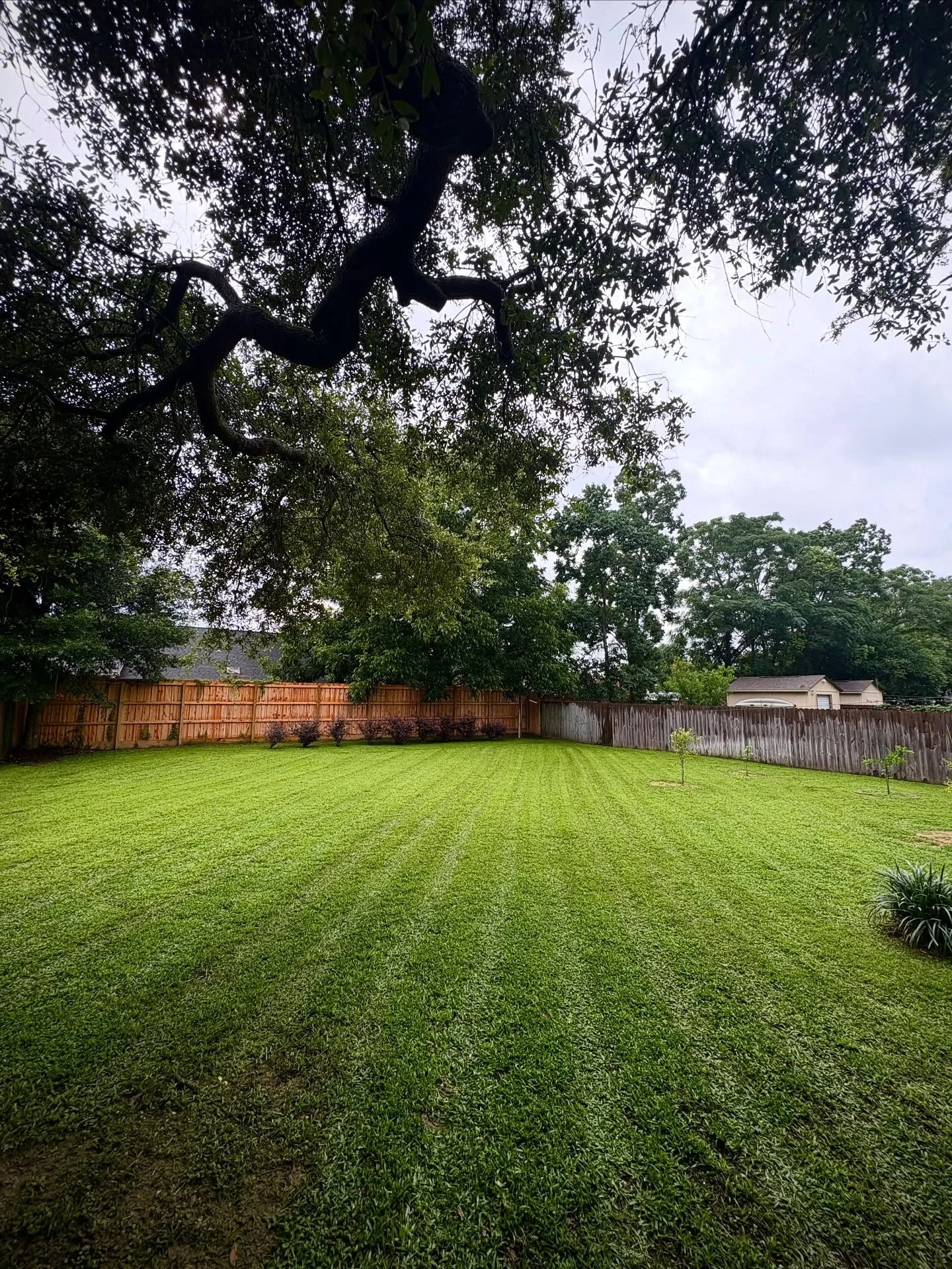 Happy 4th of July from Frady Dogs 🇺🇸
We&rsquo;ll take care of the stripes
you soak up the stars, the sunshine, and time with your people.

#FradyDogsLawnCare #NicevilleLawnCare #FourthOfJuly #SupportLocal #LawnStripes