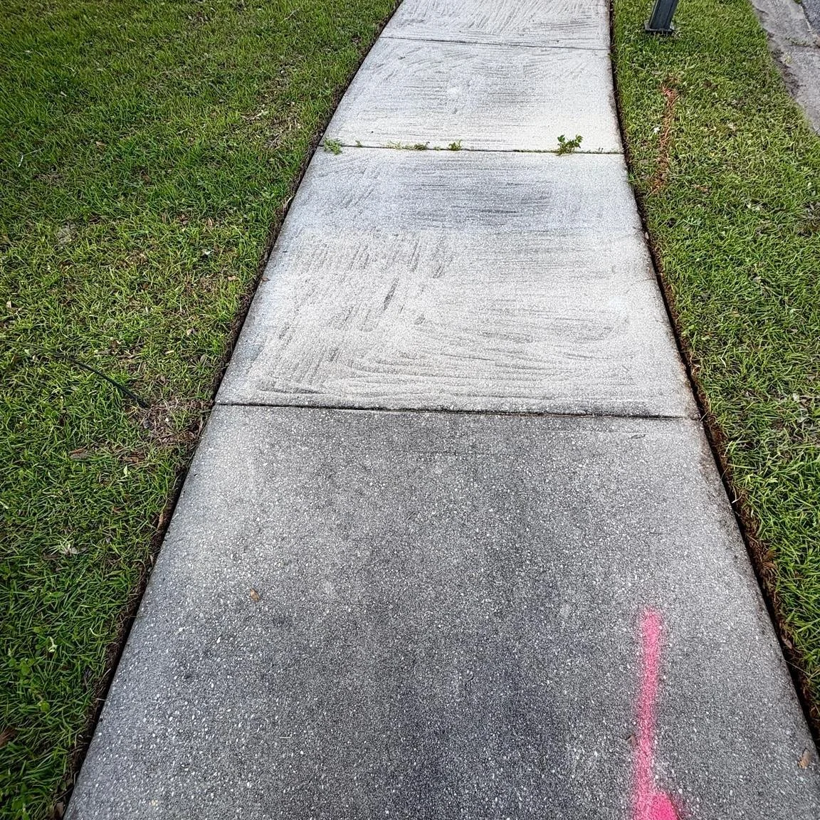 Clean cuts. Clean curb.
Precision edging + a tidy lawn = a big difference in how your home shows up.
Appreciate this neighbor trusting Frady Dogs to get it right!

#FradyDogsLawnCare #NicevilleLawnCare #CurbAppealDoneRight #edgingmatters