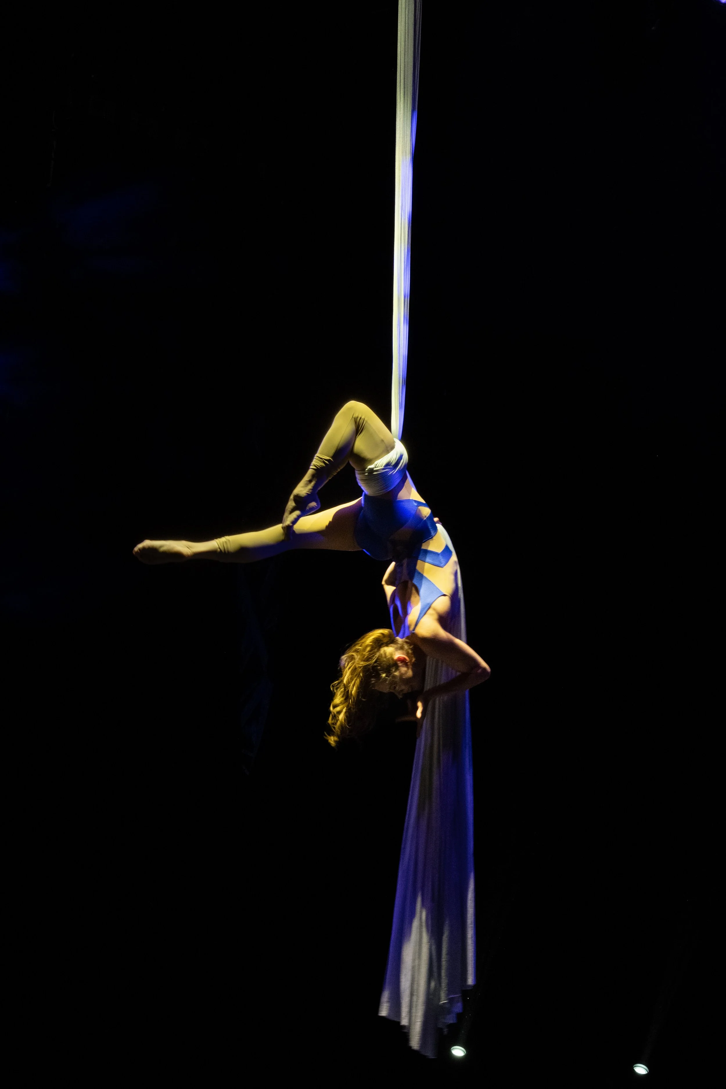 Professional aerial silks performer entertaining guests with an elegant aerial display at a luxury wedding reception.