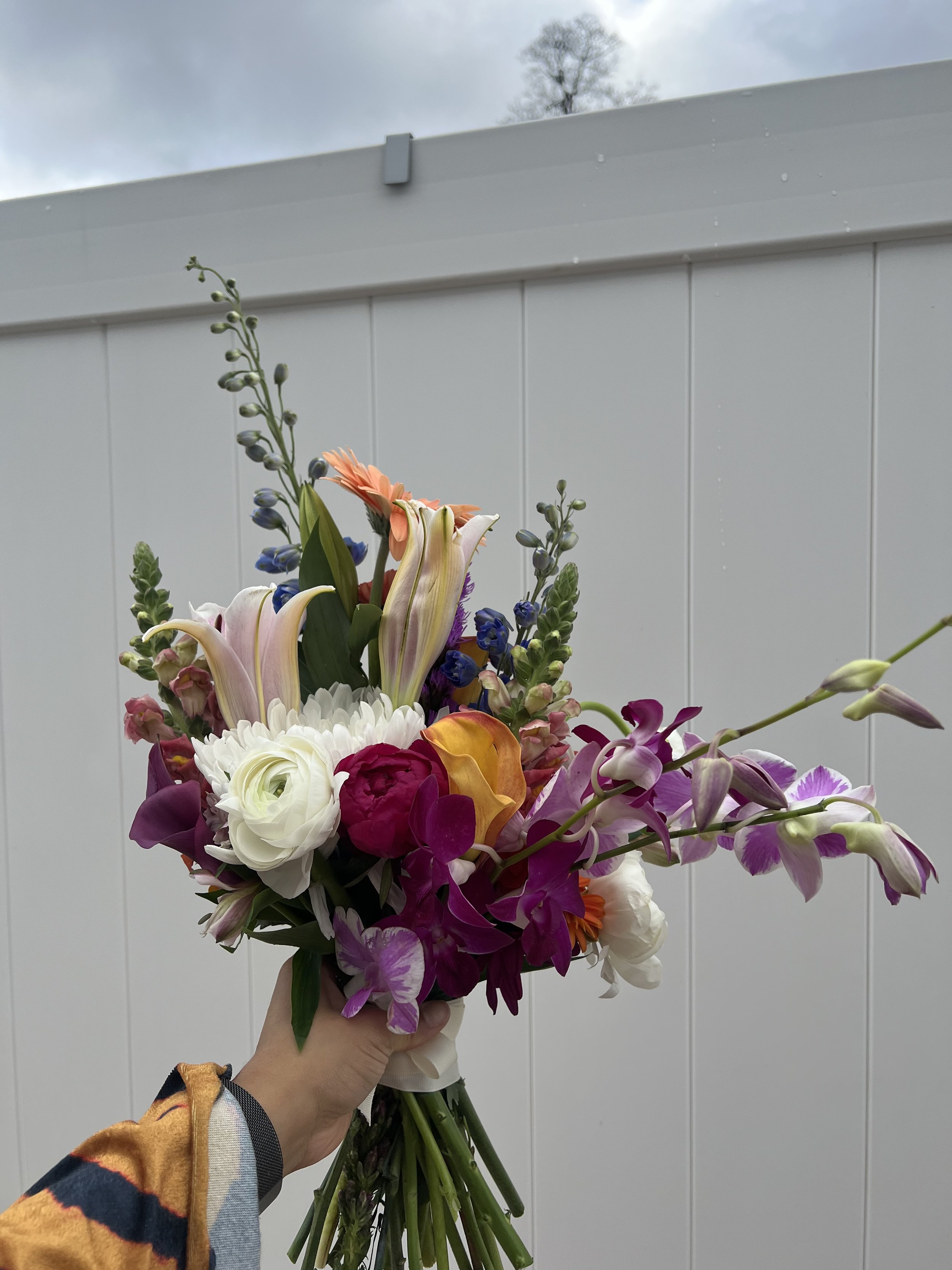IMG_1596.jpeg