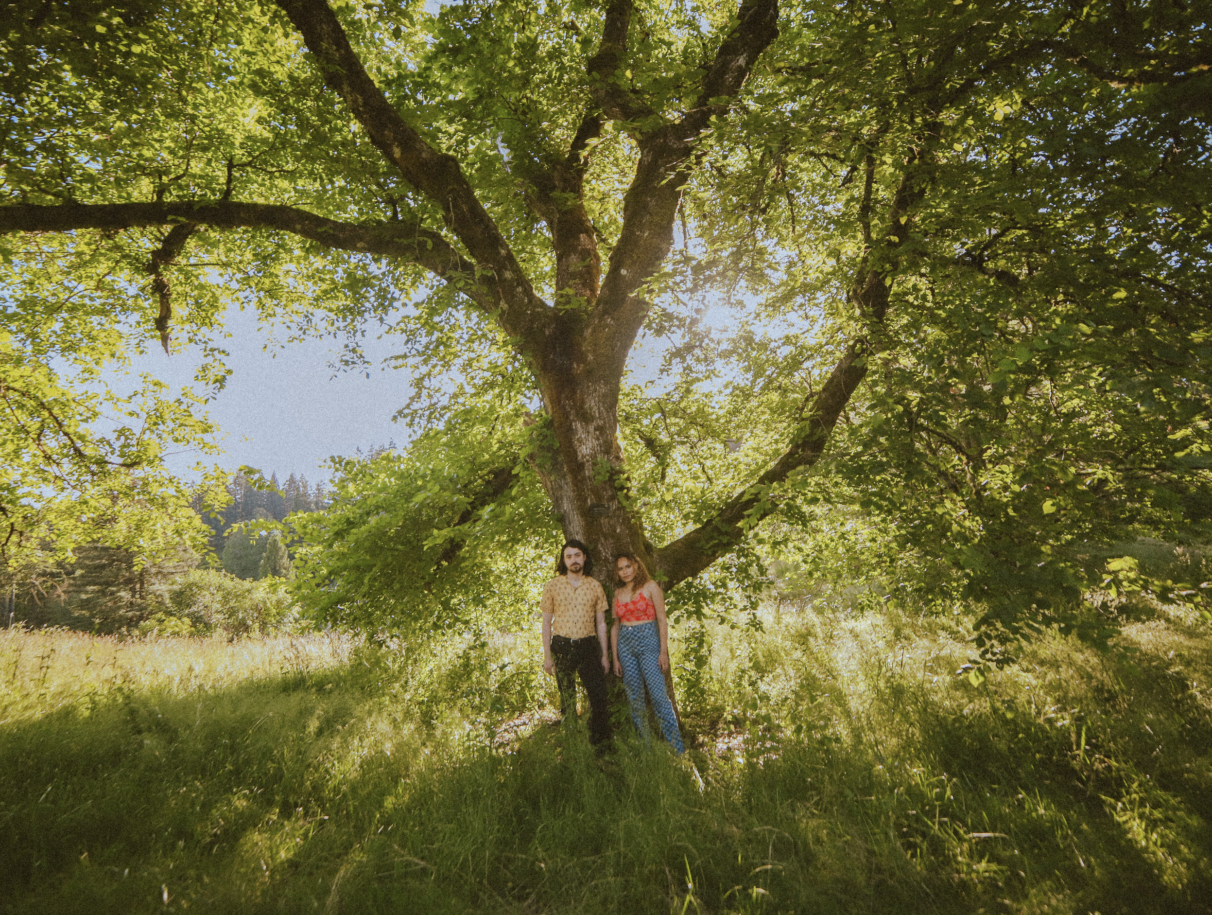 Screenshot 2025-03-06 at 12.21.14 AM.png