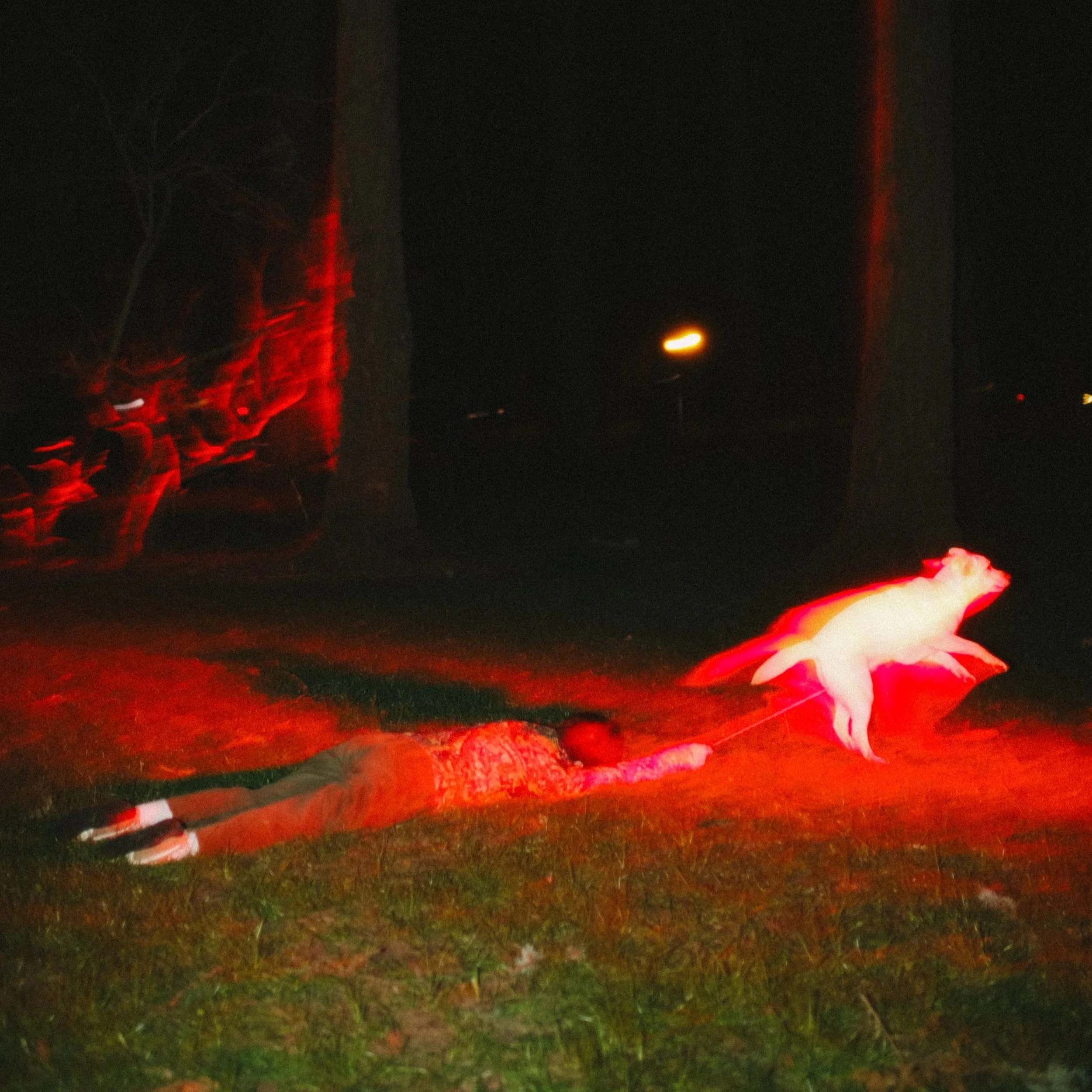 a person laying down holding a leash of a dog as the dog is jumping. its long exposure with with flash and red lighting