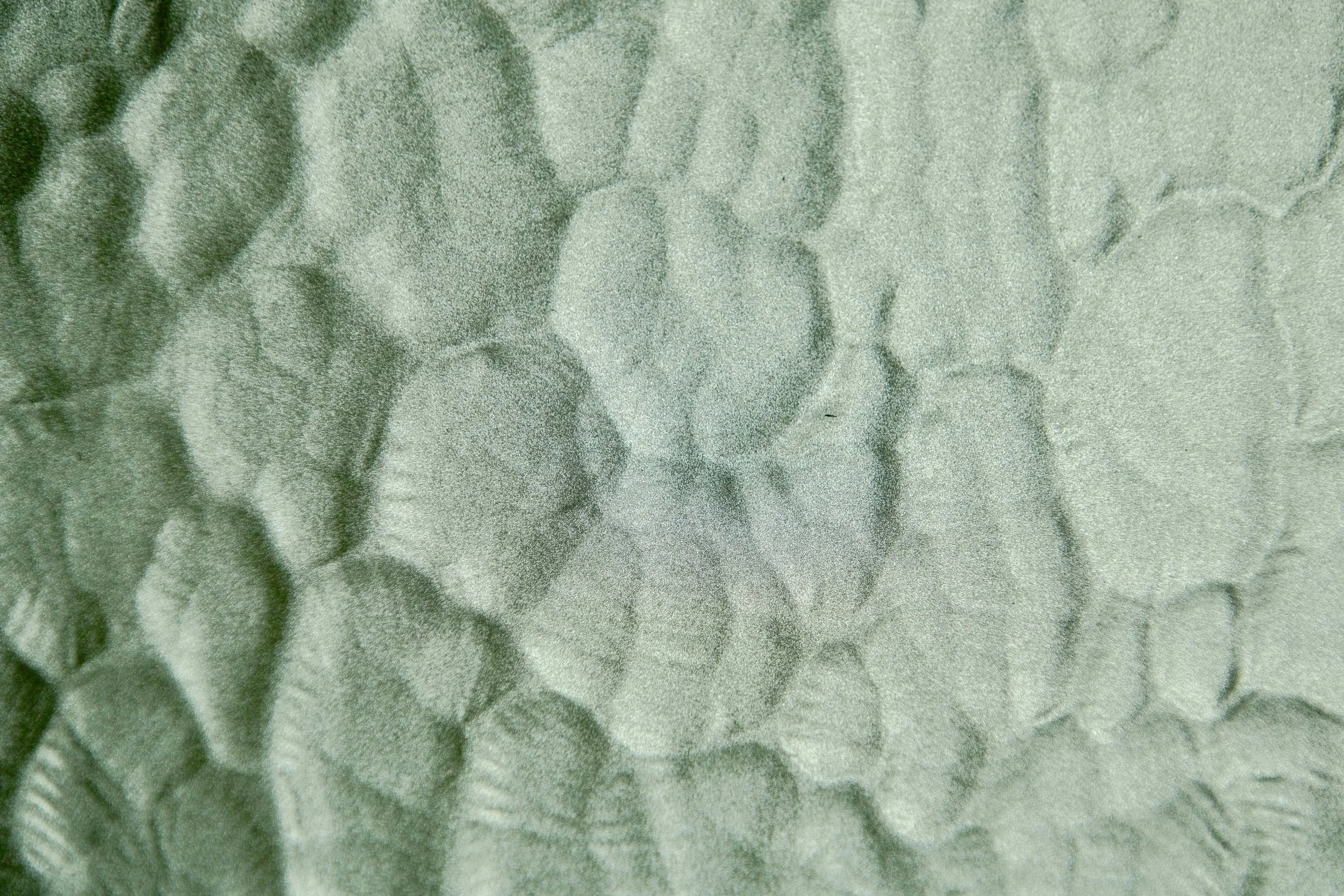 Close-up image of irregular green textured surface.