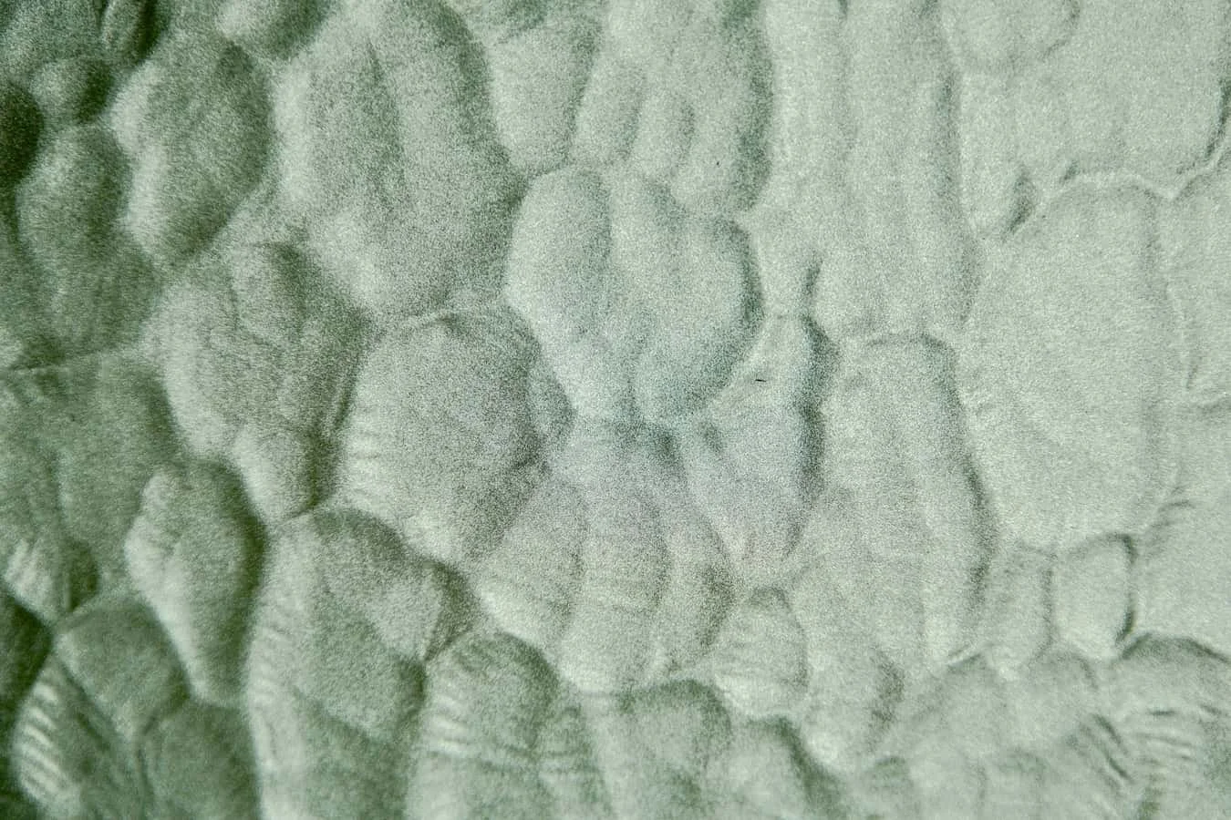 Close-up image of irregular green textured surface.