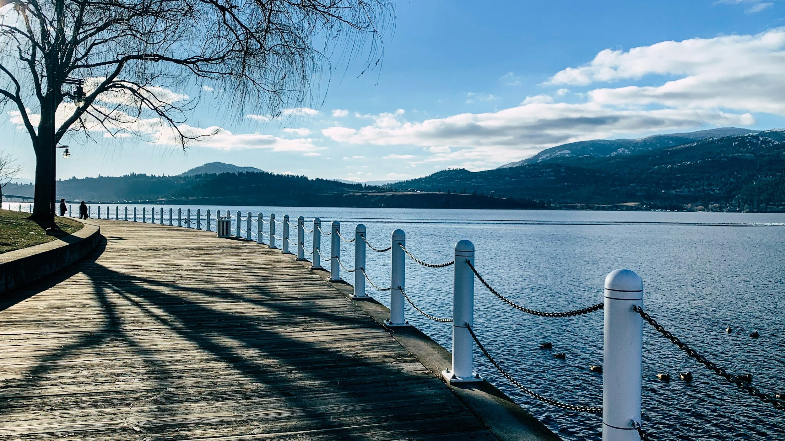 A wooden waterfront pathway with white posts and chains along a body of water, with mountains and a partly cloudy sky in the background, and a large leafless tree casting shadows on the walkway.