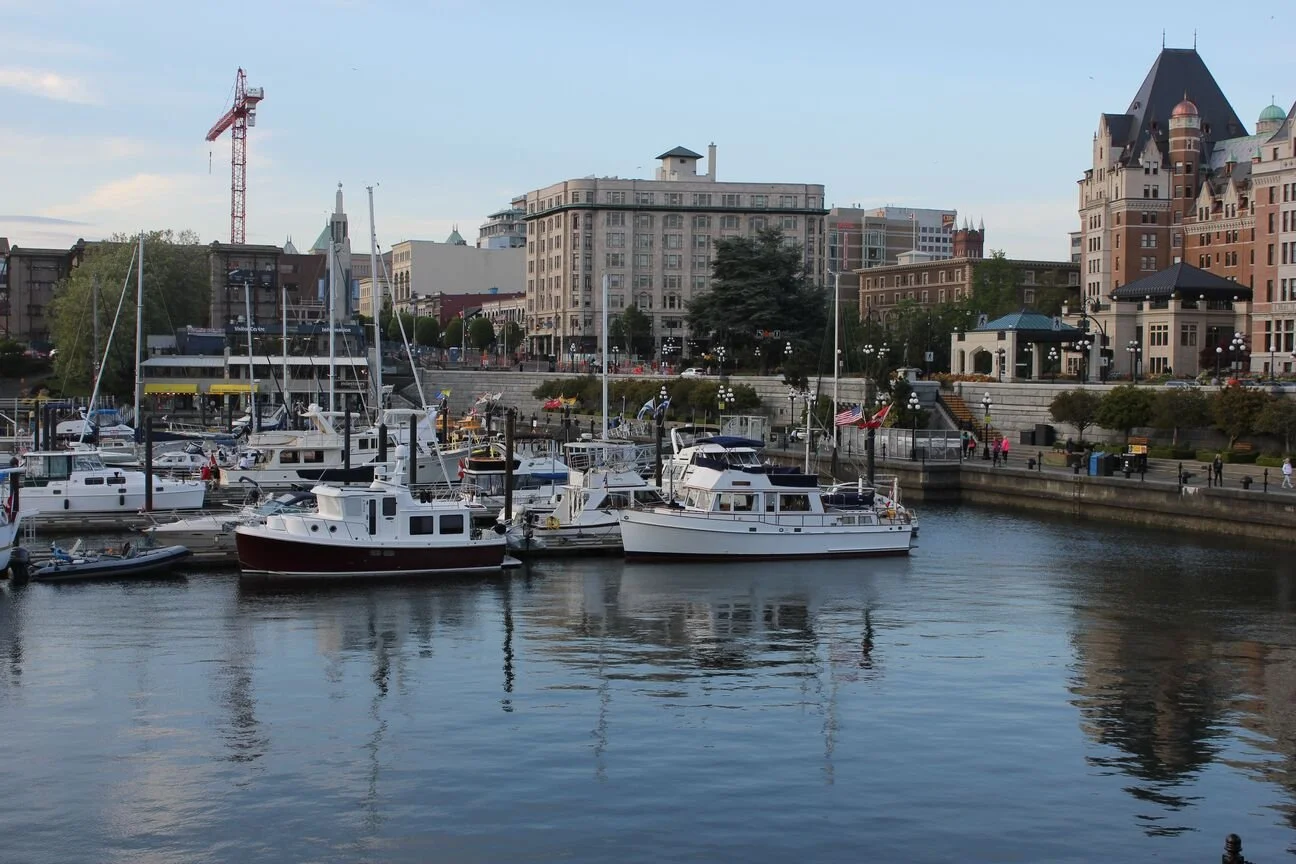 Boats docked at a marina with city buildings in the background during daytime.