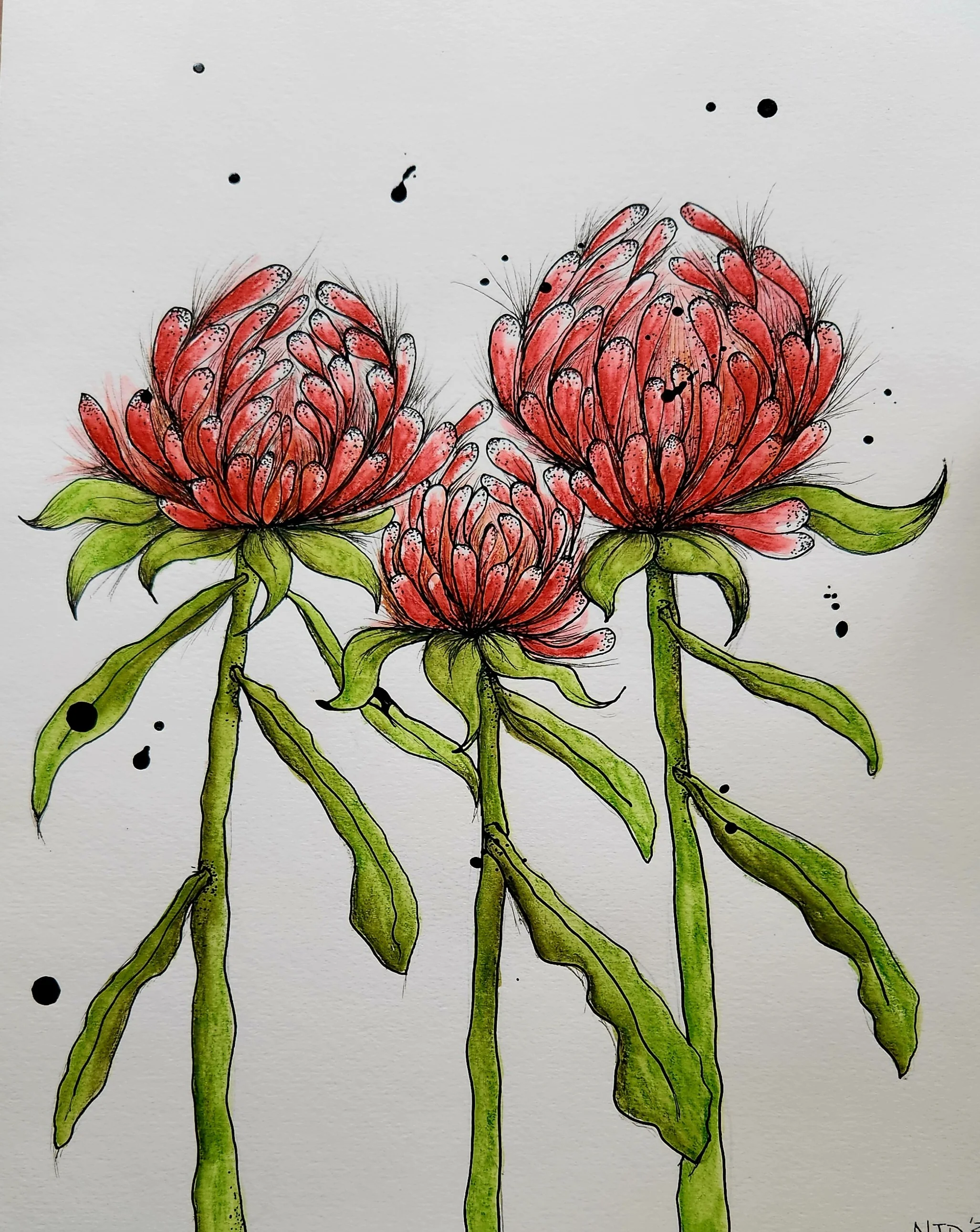 Exhibition: Nicole Dixon 'In Full Bloom'