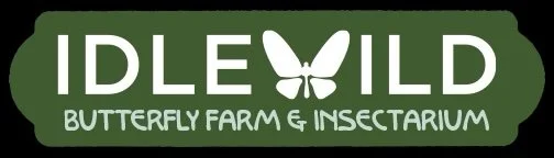 Idylewild Butterfly Farm and Insectarium