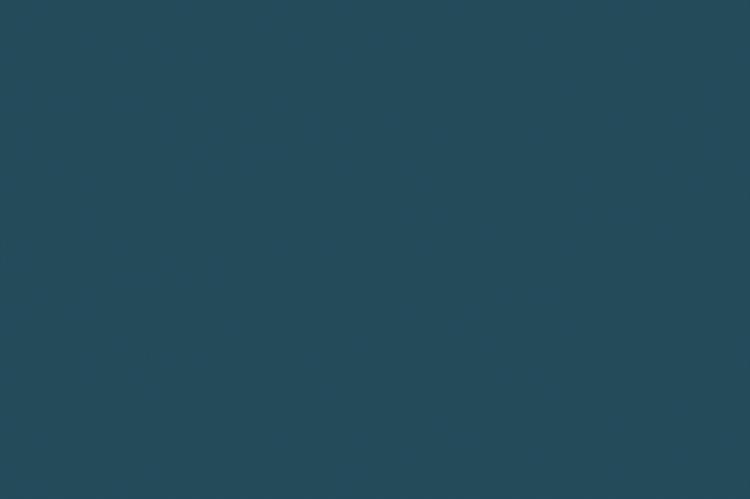 <b>Canopy</b><br>A Complete Brand Transformation