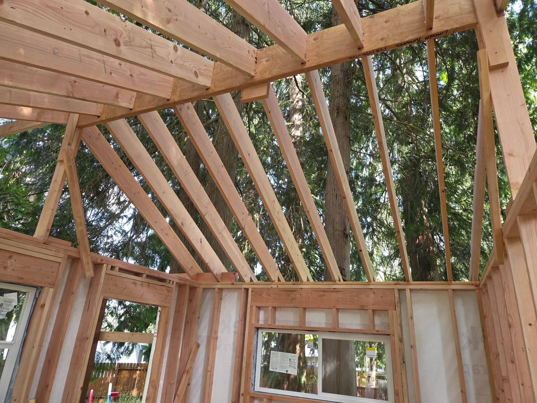 Interior of a house under construction with exposed wooden framing and ceiling rafters, and trees visible through the roof opening.