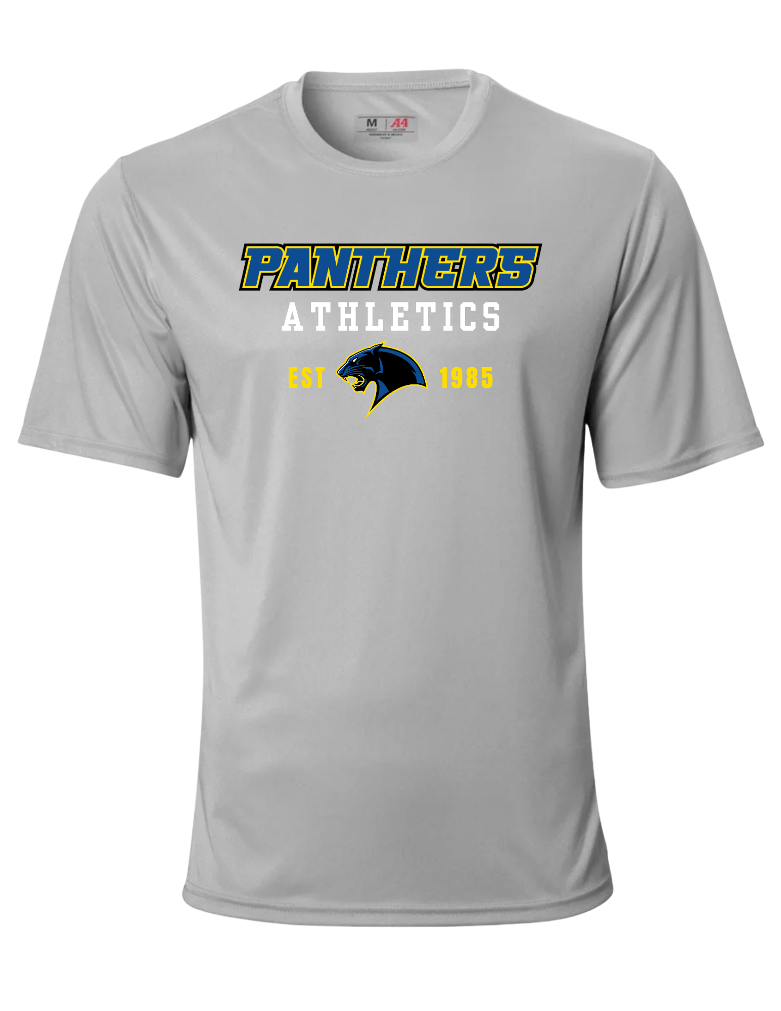 panthers (22).png (Copy)