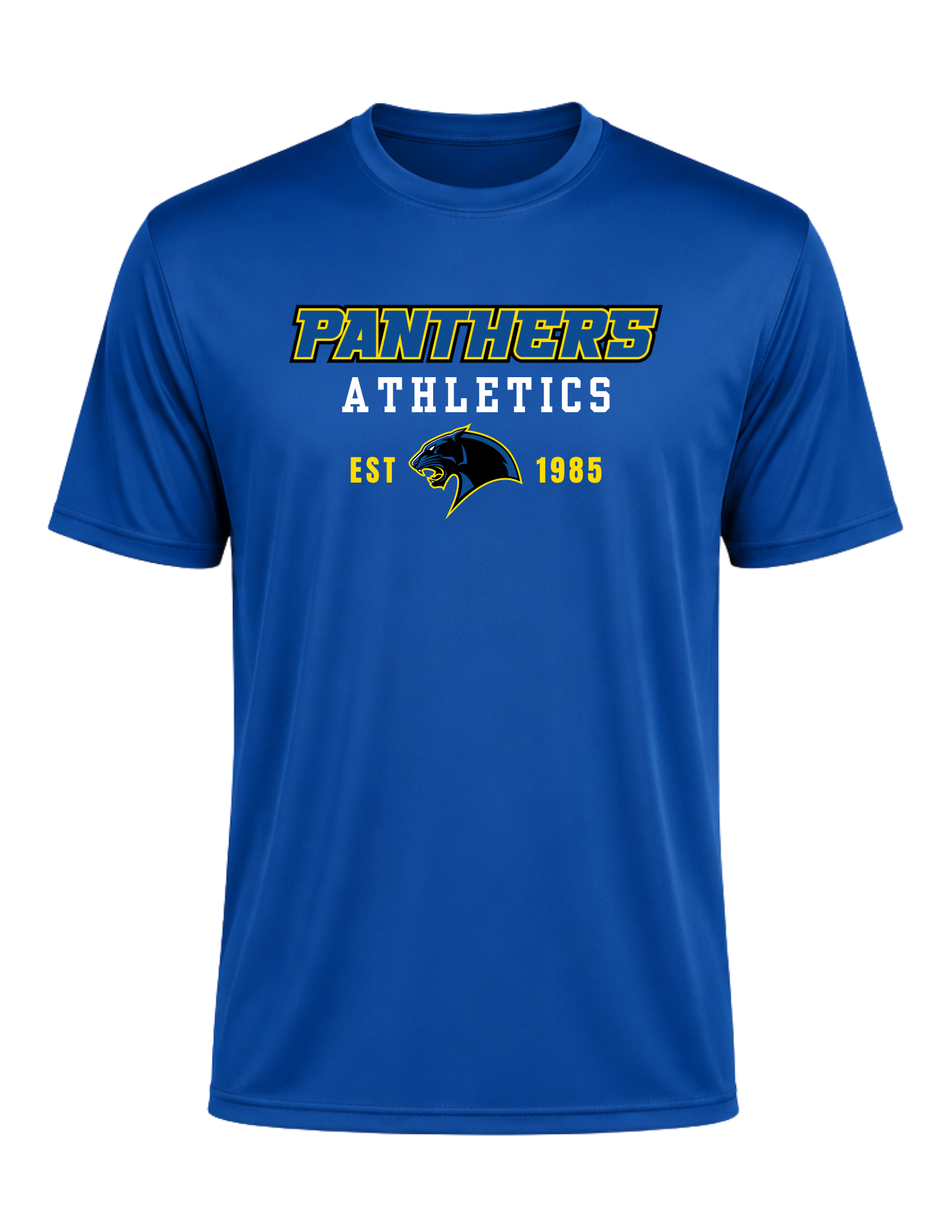 panthers (28).png (Copy)