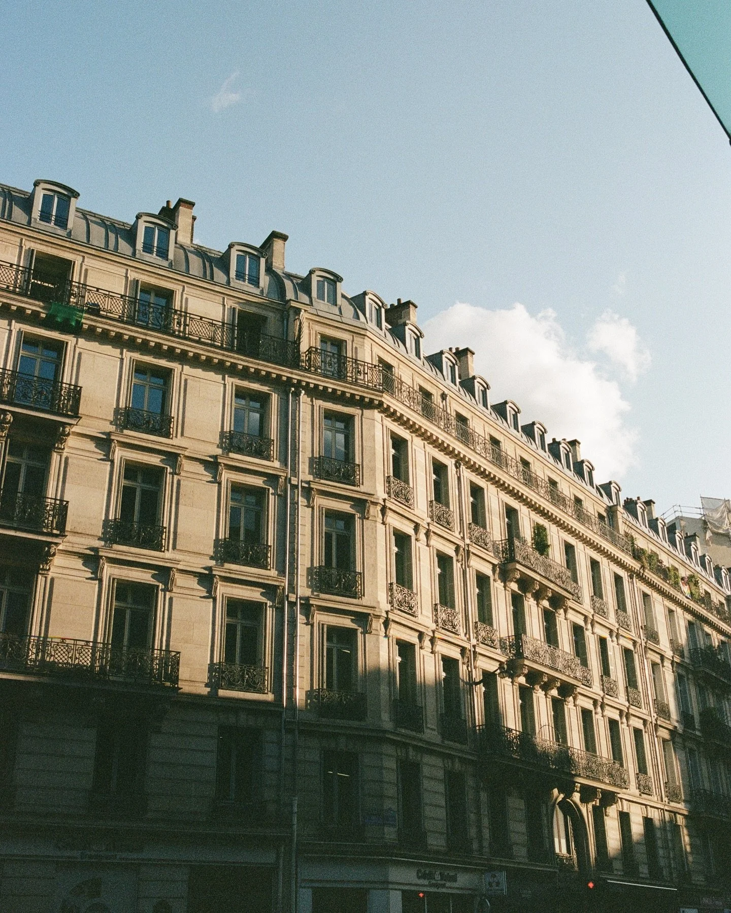 Paris + Florence on 35mm 🤍