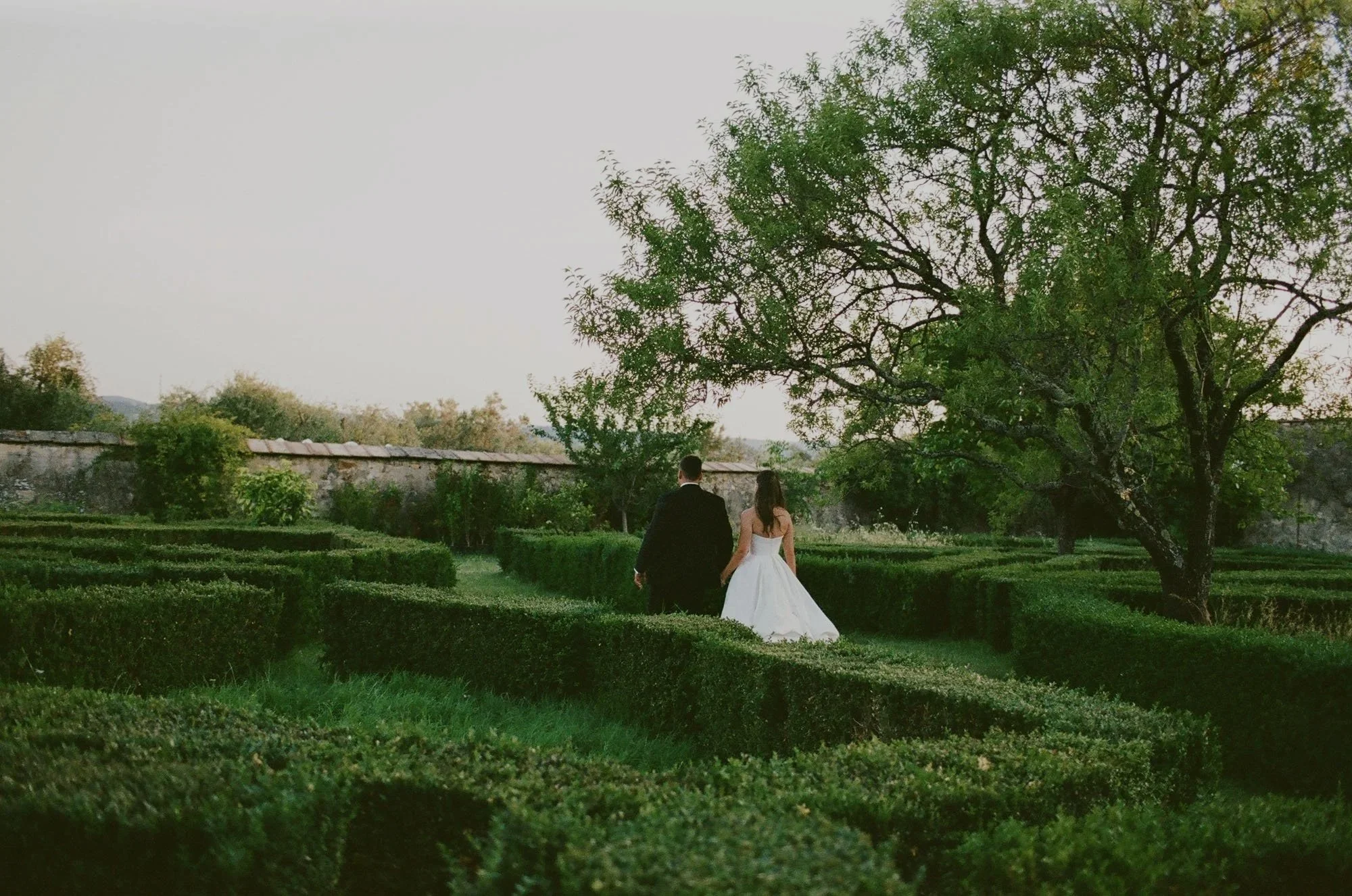 35mm Film