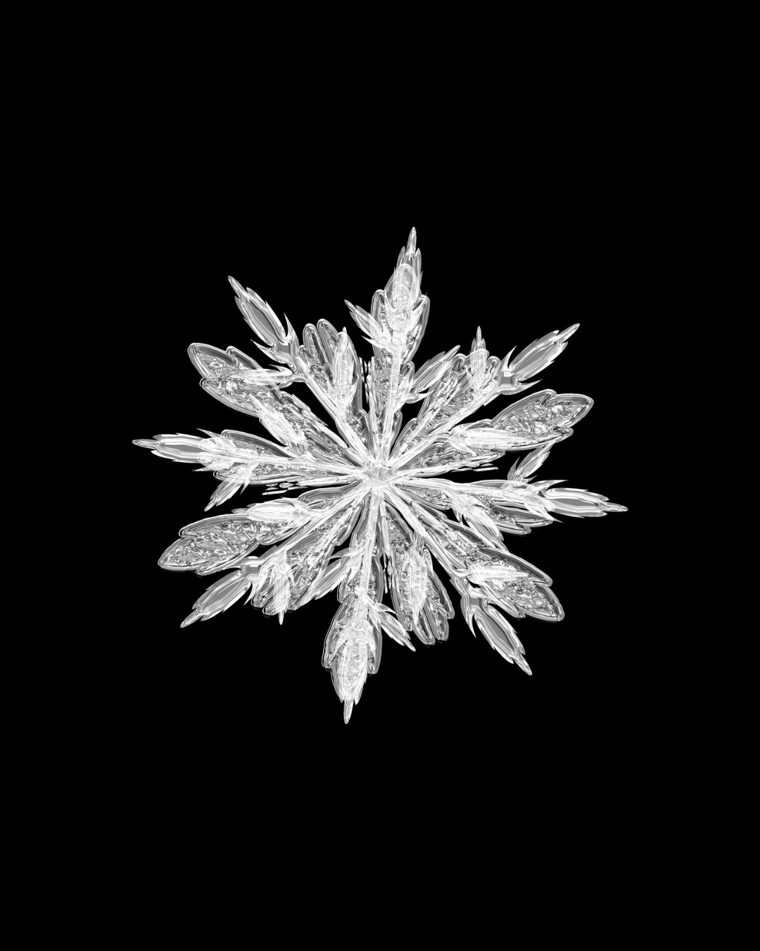 Dr Emoto