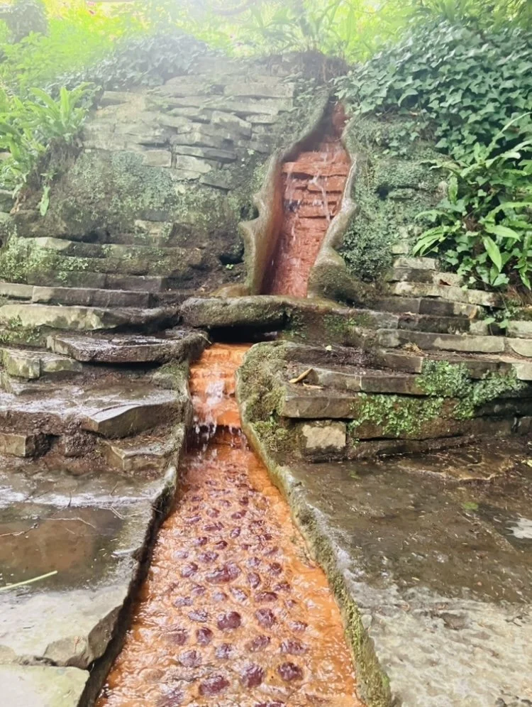 The red and white springs, Glastonbury.
