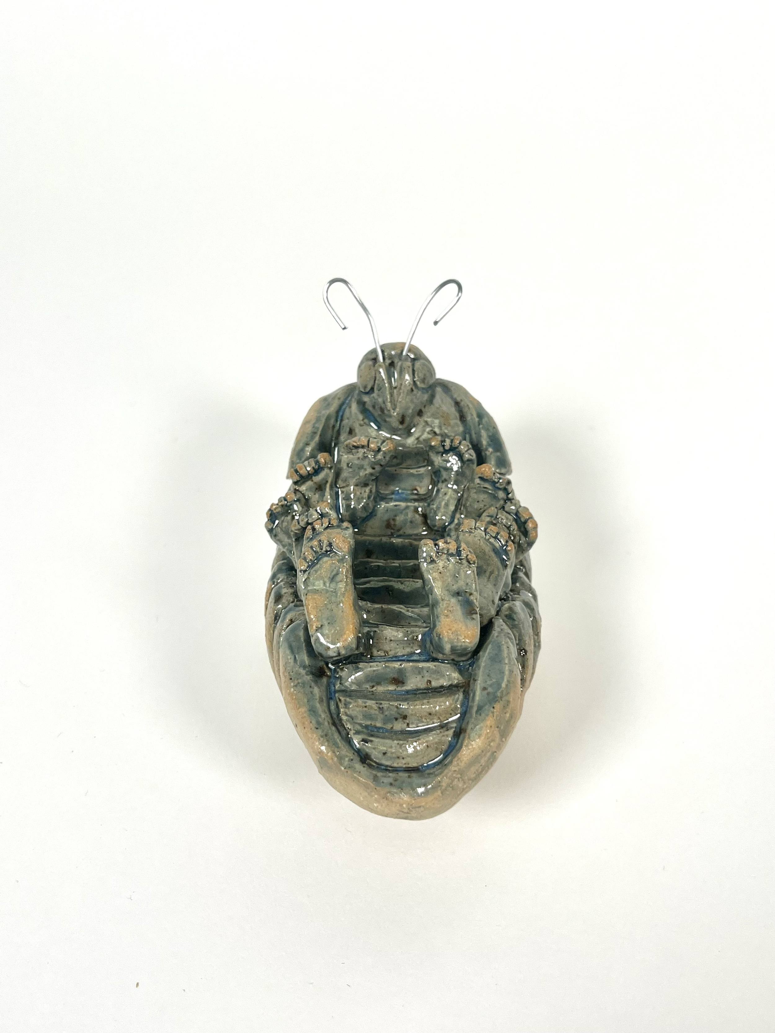 Pill Bug, 2025, Ceramic