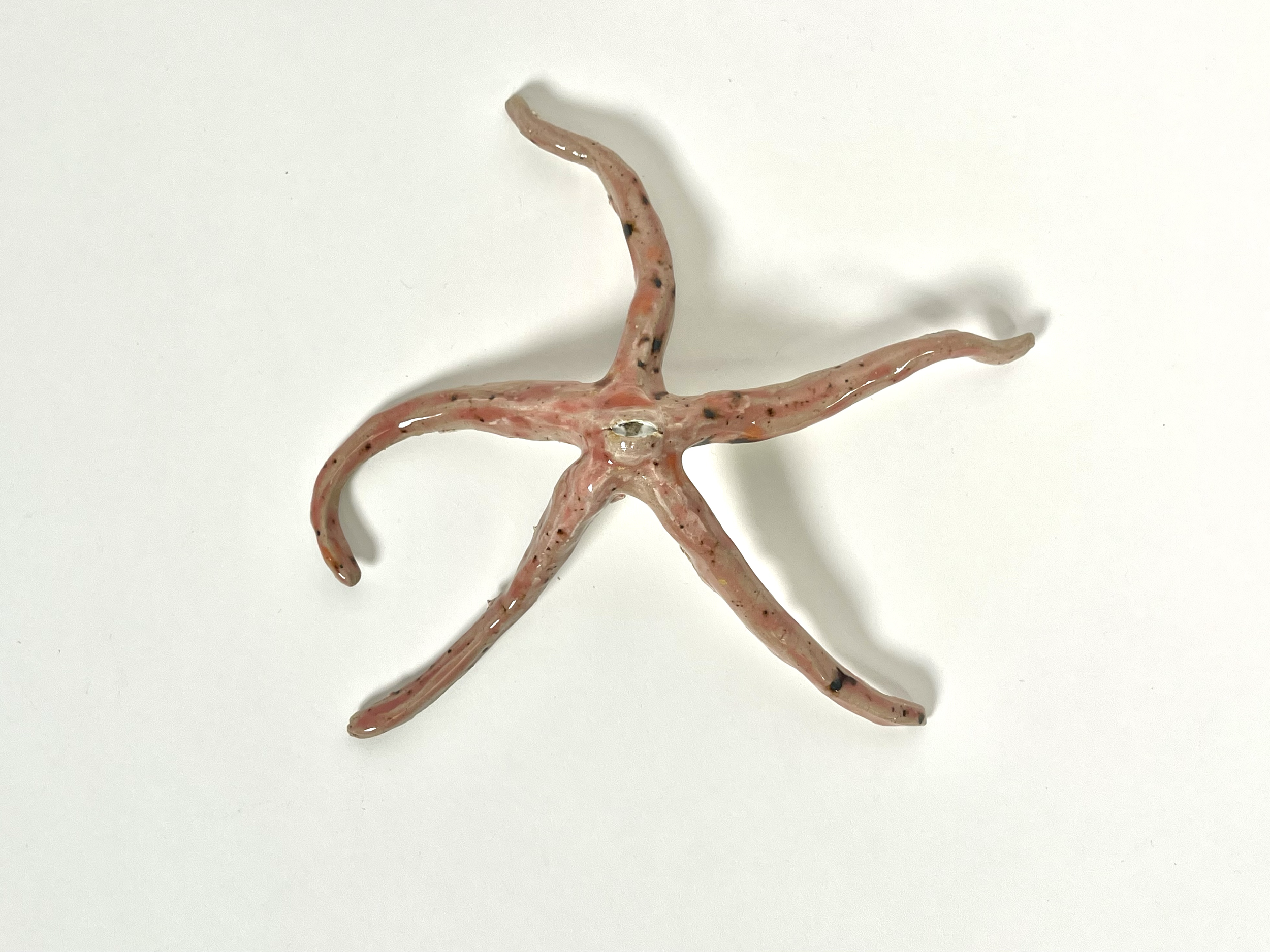 Watchful Starfish, 2025, Ceramic