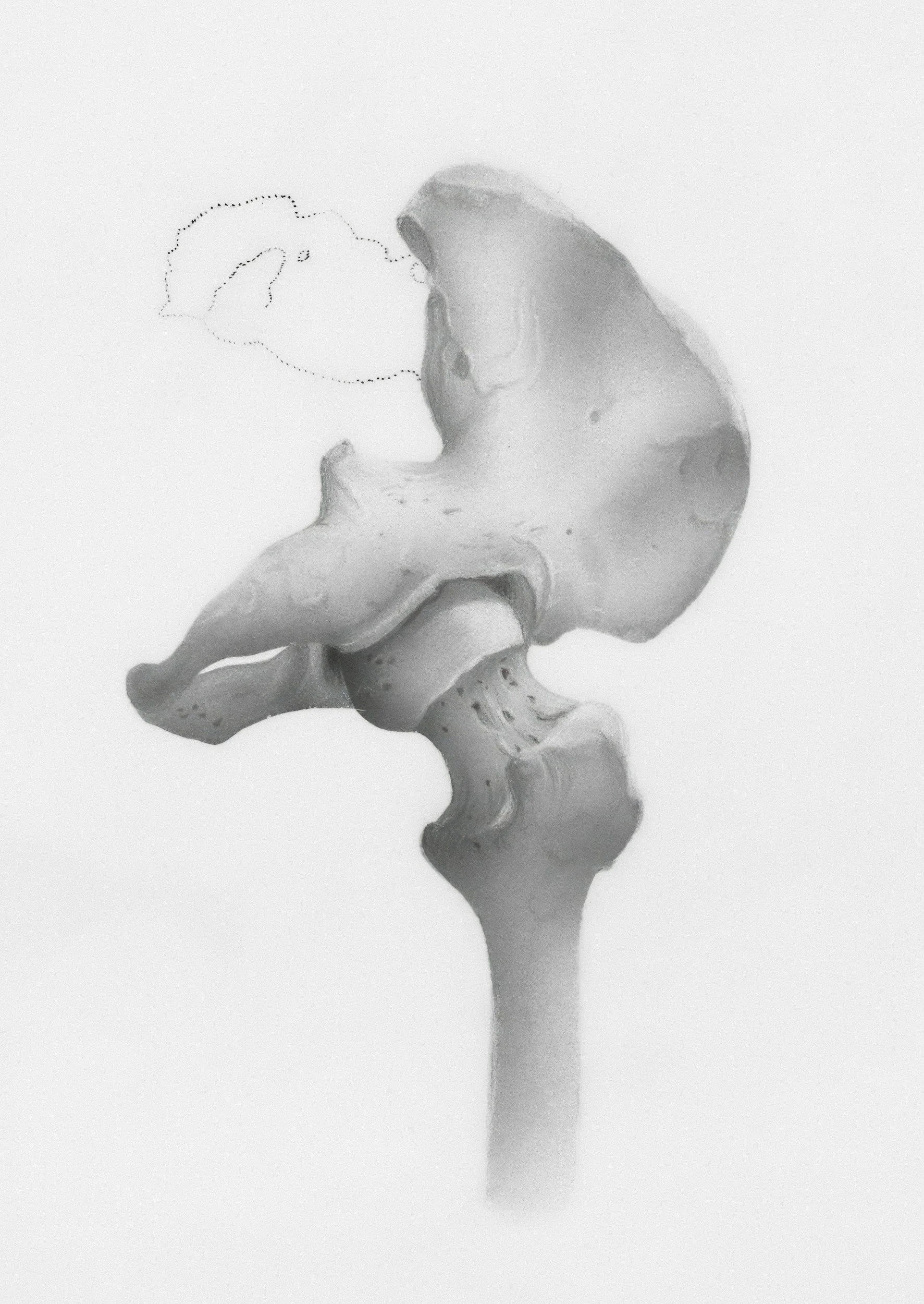 Beyond Load: A Systems-Based Perspective on Femoroacetabular Impingement (FAI) in Young Athletes