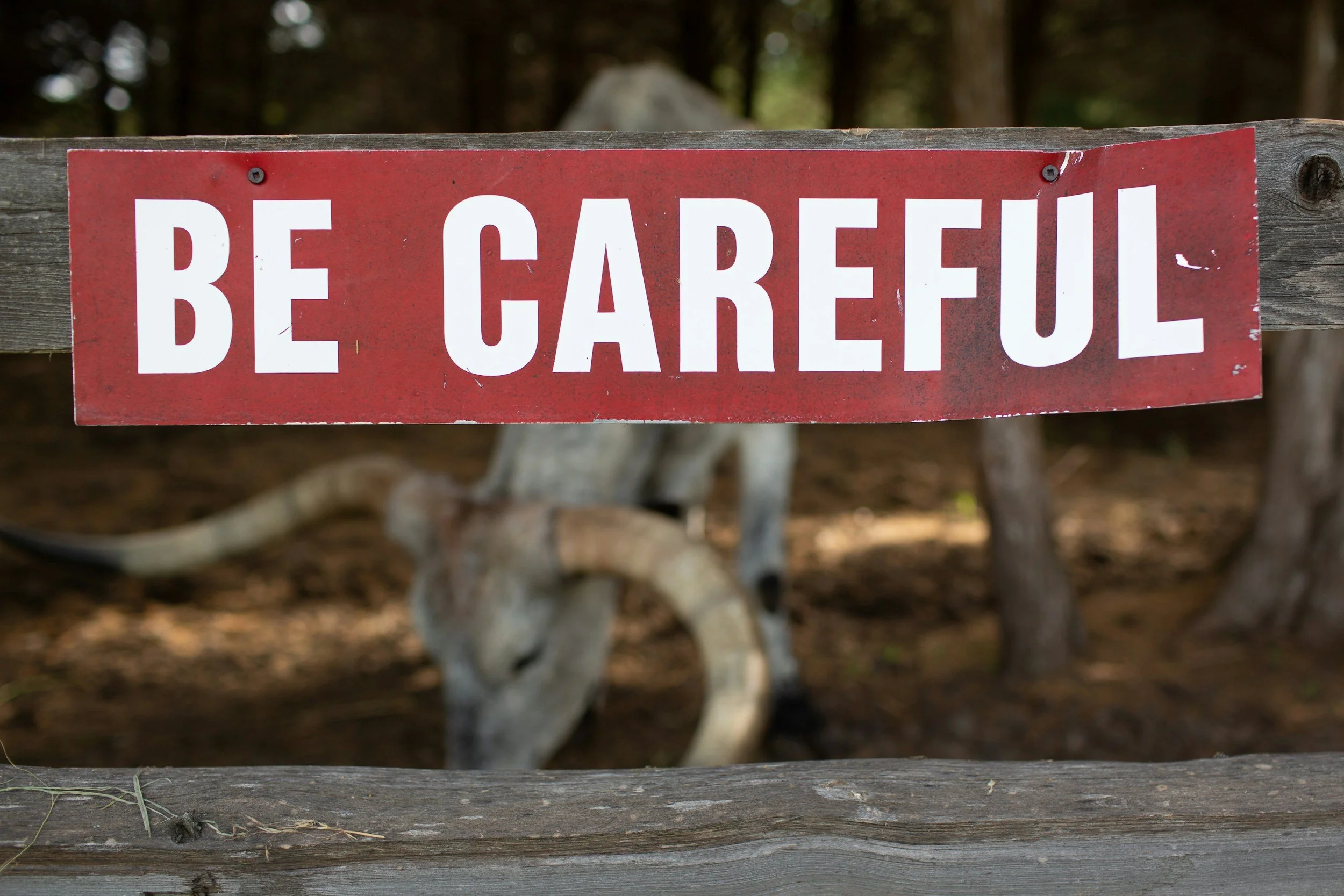 The “Be Careful!” Instruction   -   El Popular “!Ten Cuidado!”.