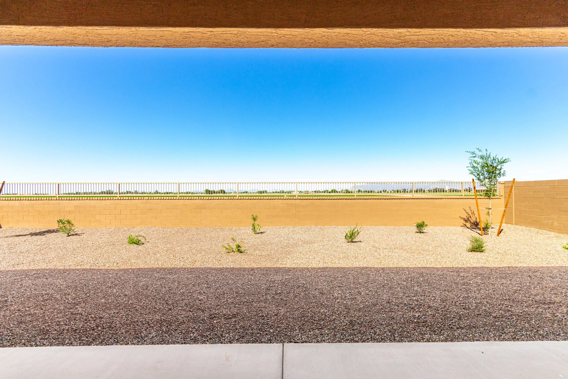 60-Lucky Horseshoe.jpg