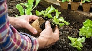 GARDEN CLUB