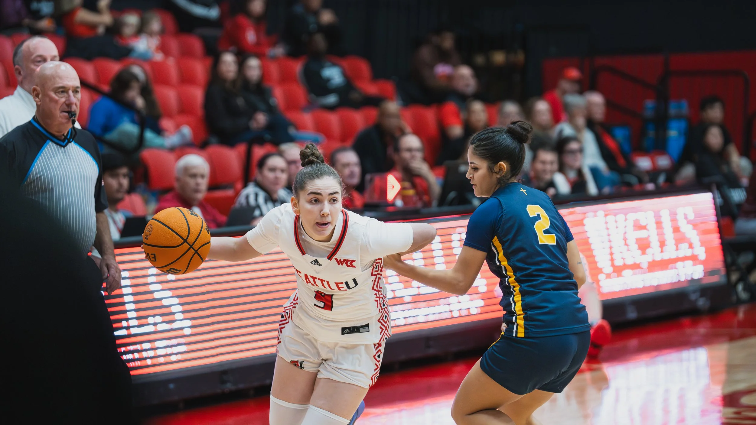 seaUbasket-31.jpg