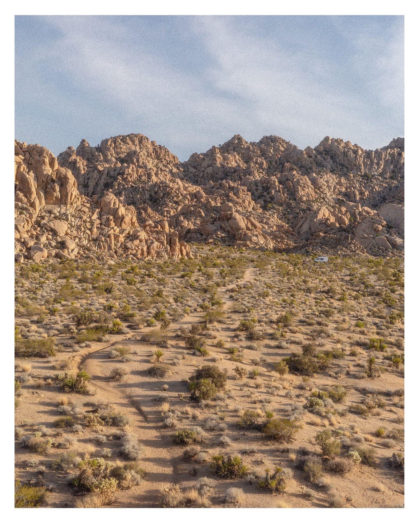 Joshua Tree mini trip with the gang