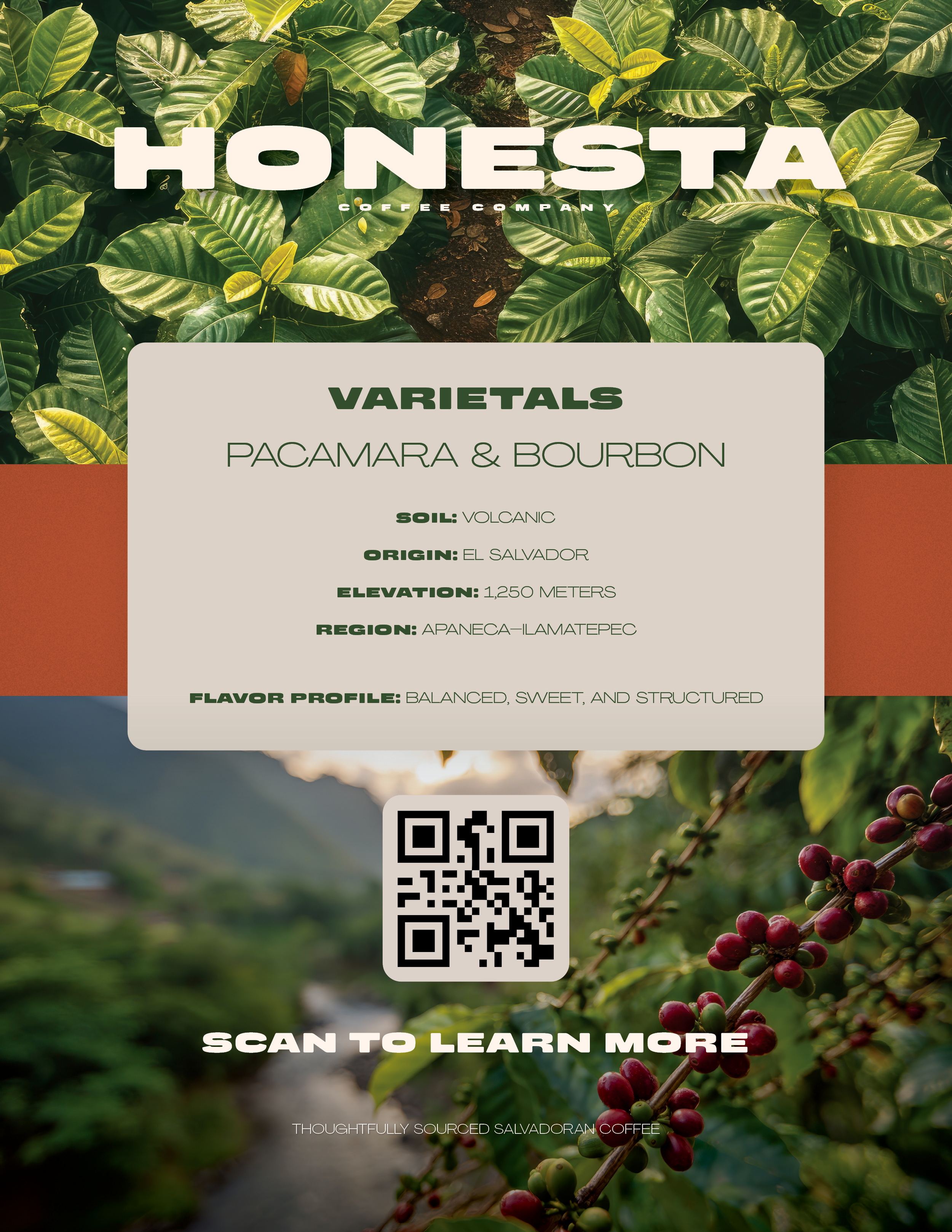 Gonzalez_Jesse_Project1_Flyer V2.png