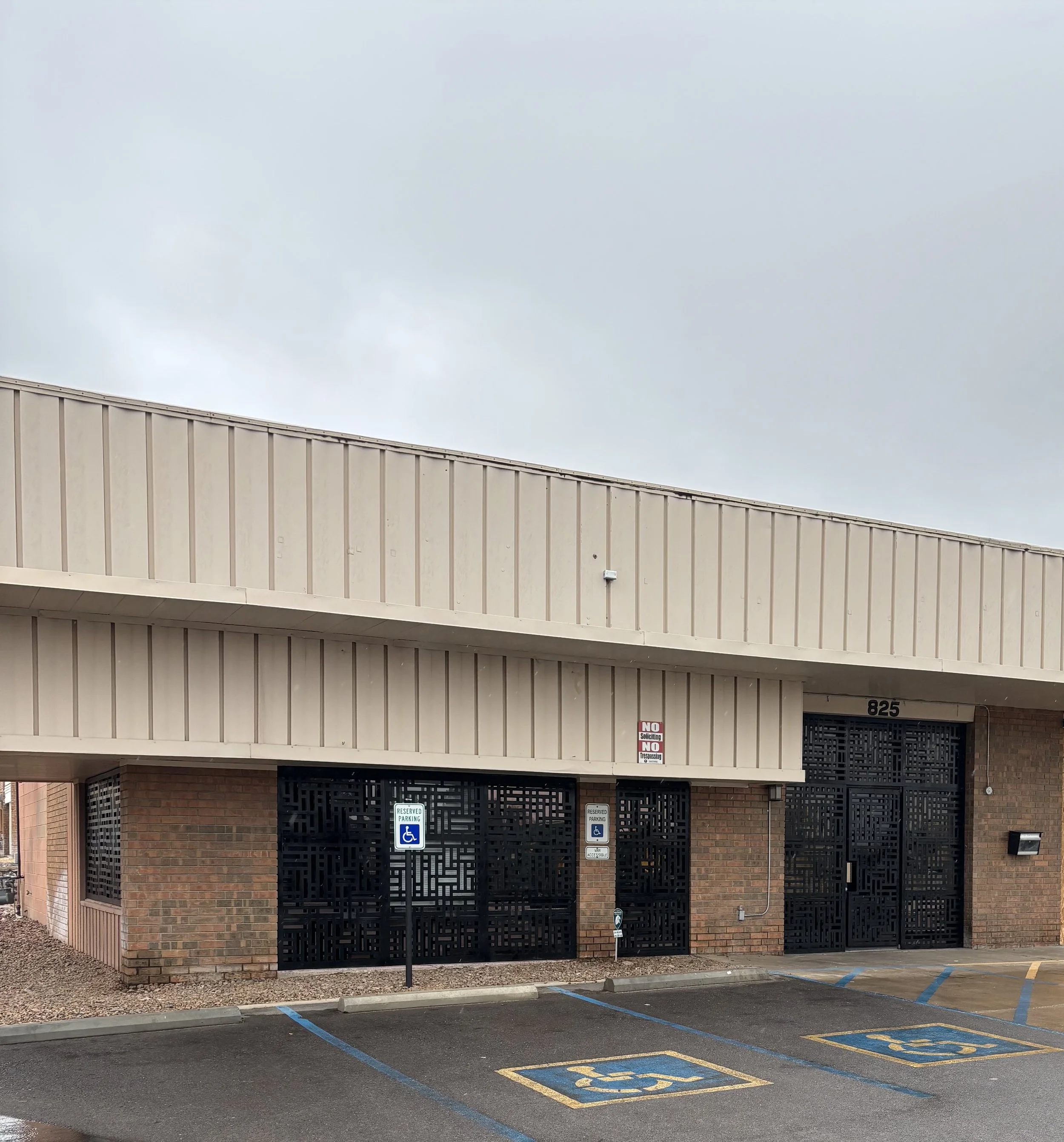 Decorative Commercial Window and Door Protection