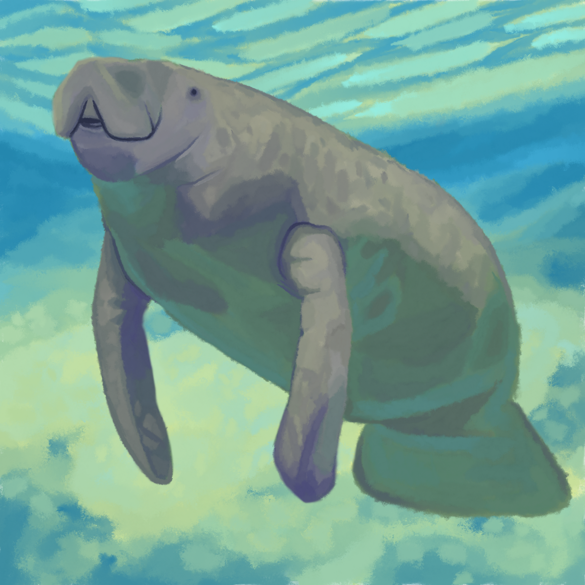 manatee.png