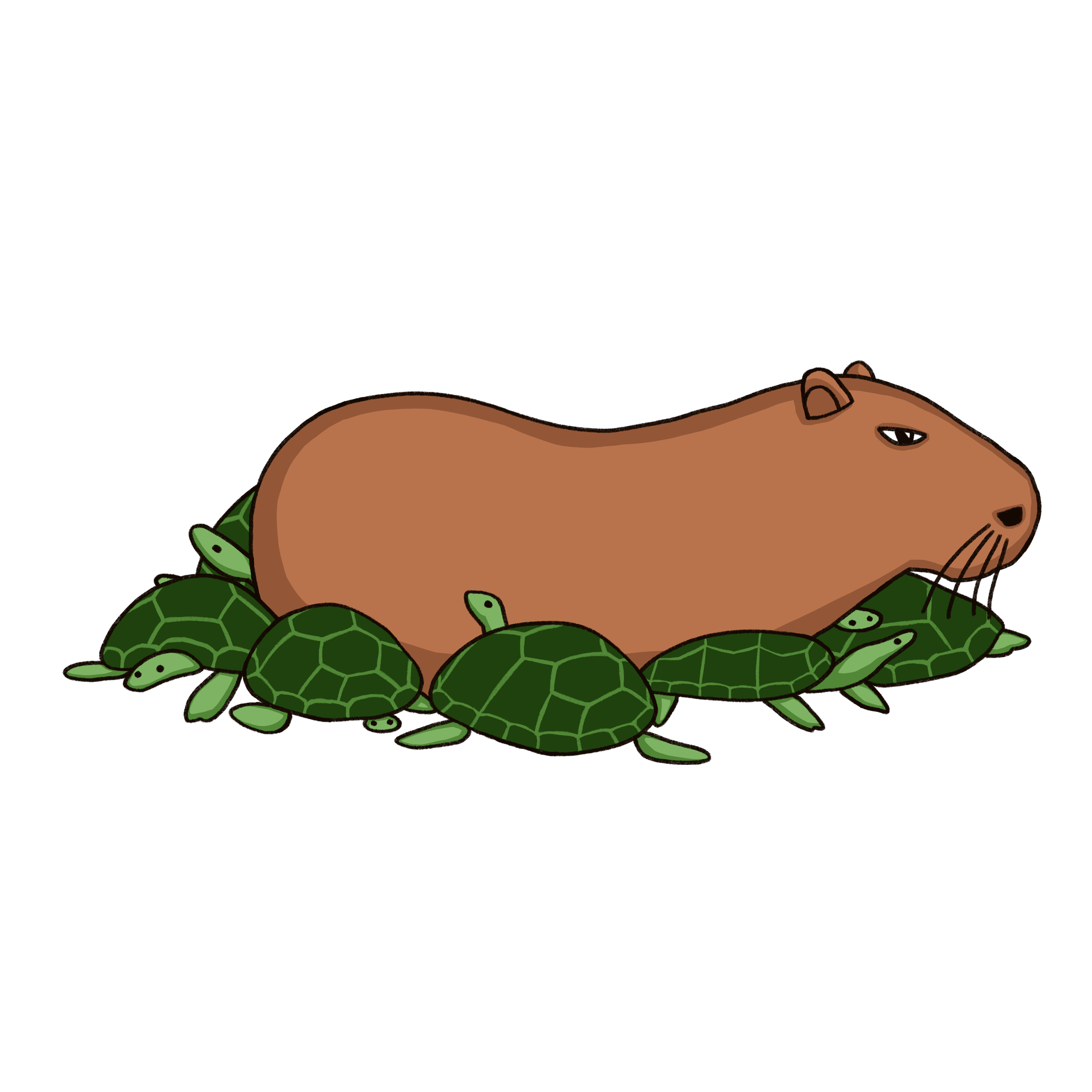 IMG_1938.png
