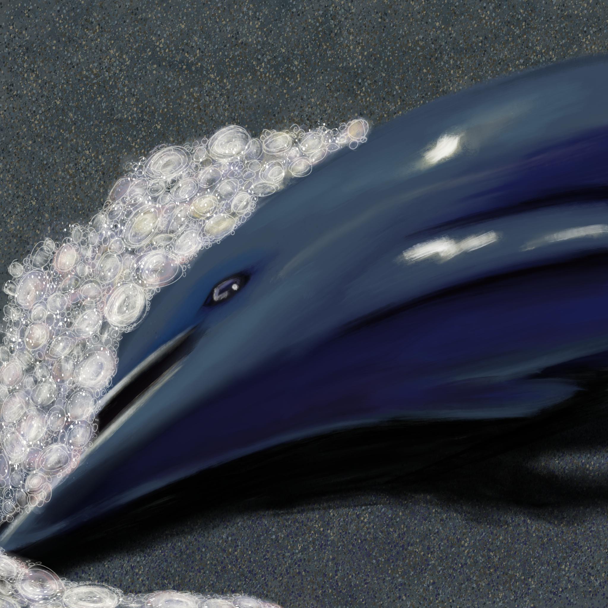 IMG_0967.png