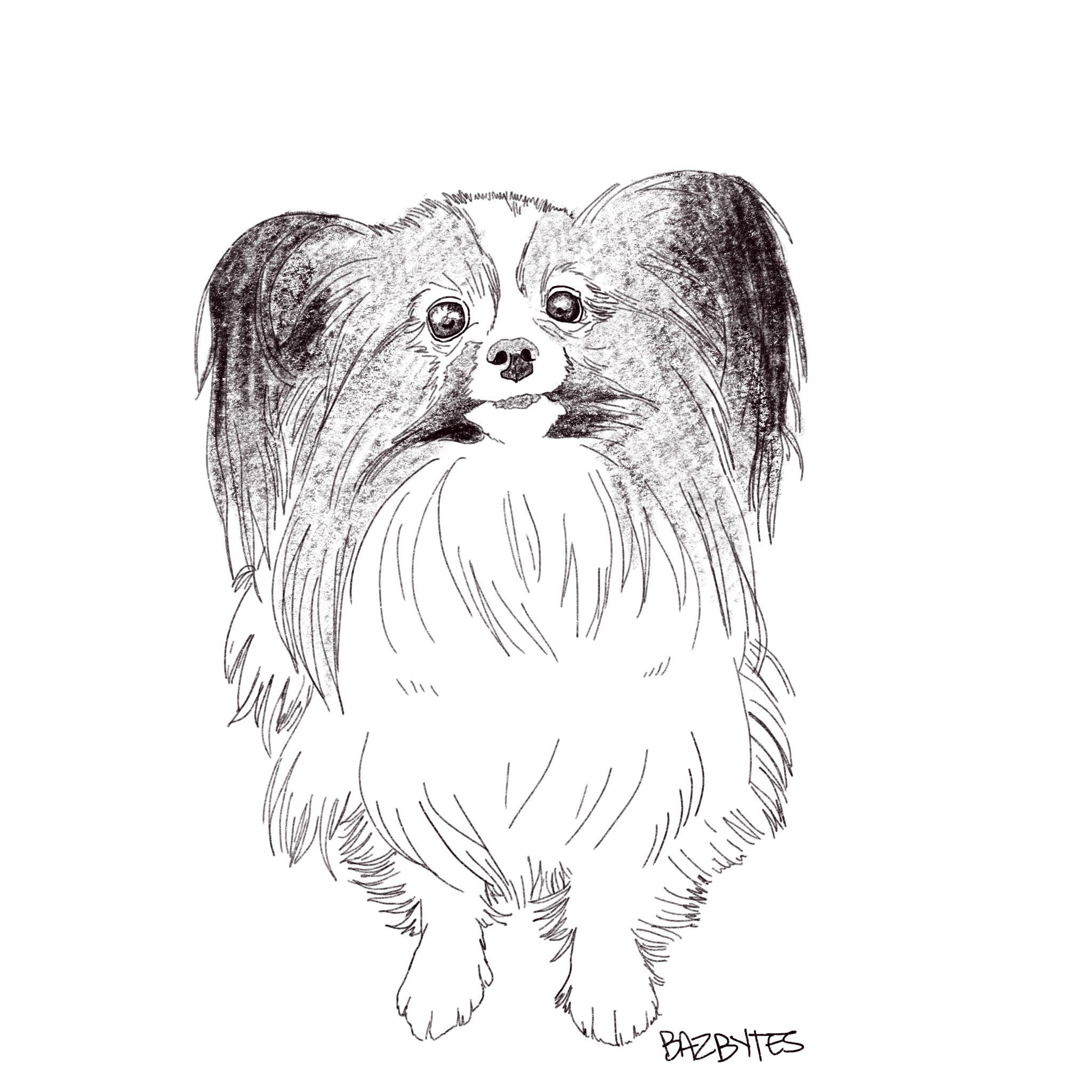 IMG_0341.png