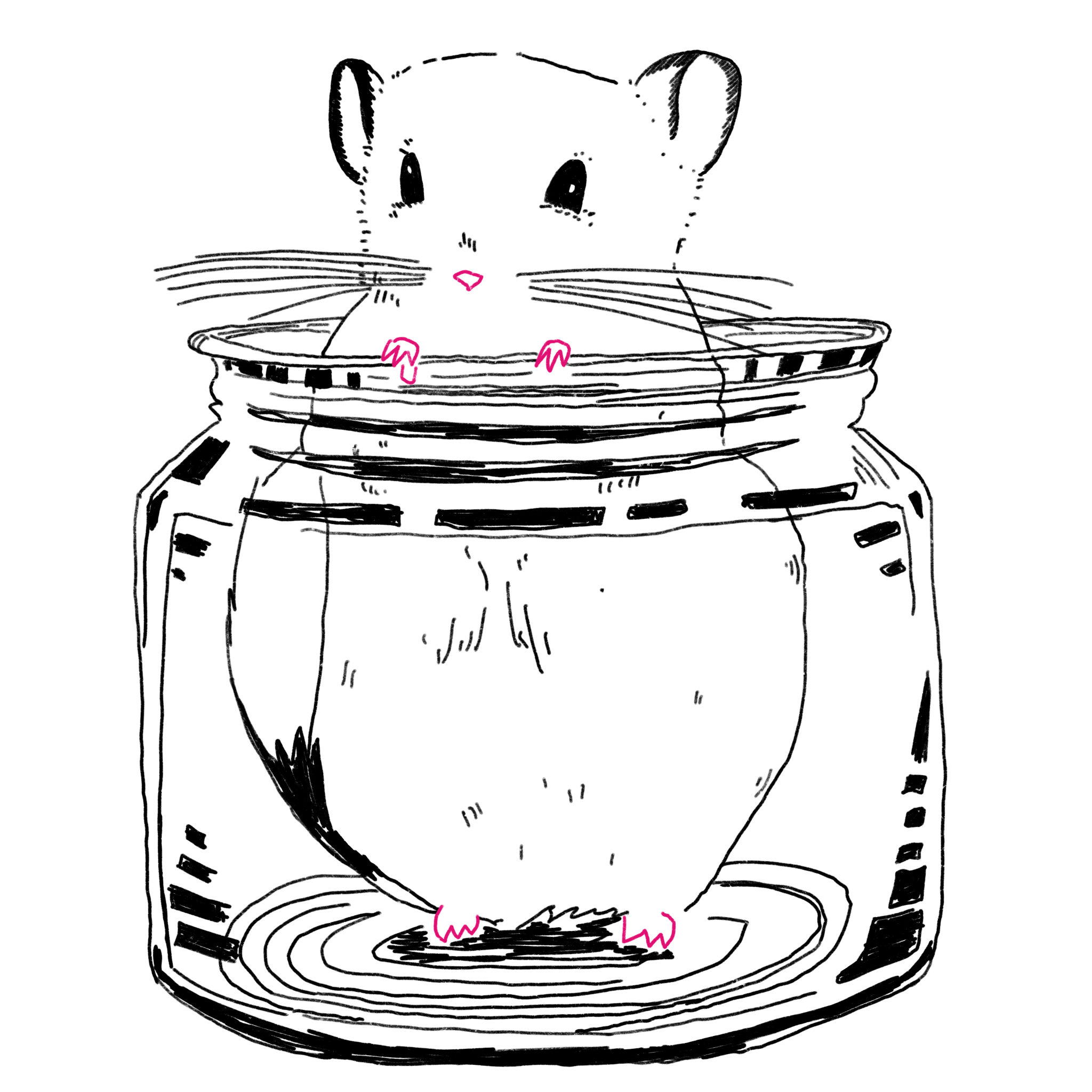 IMG_0506.png