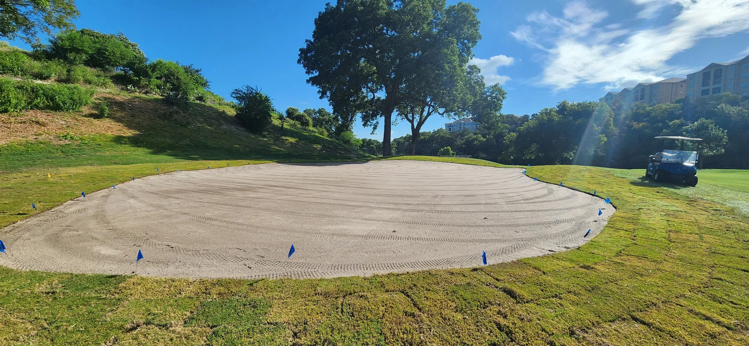 16th green after sodding surrounds