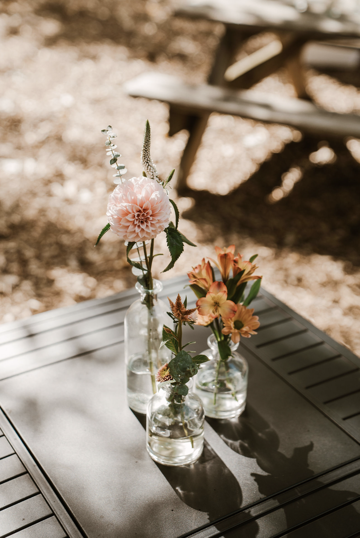KK woods gathering spot, outdoor venue for weddings, graduations, customer appreciations, pop-up vendor events.
