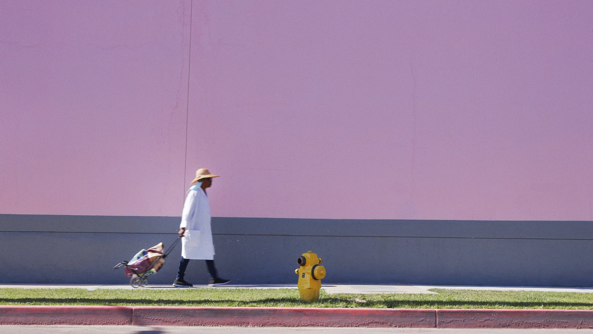 WC_Thumbnail_Pink Wall.jpg