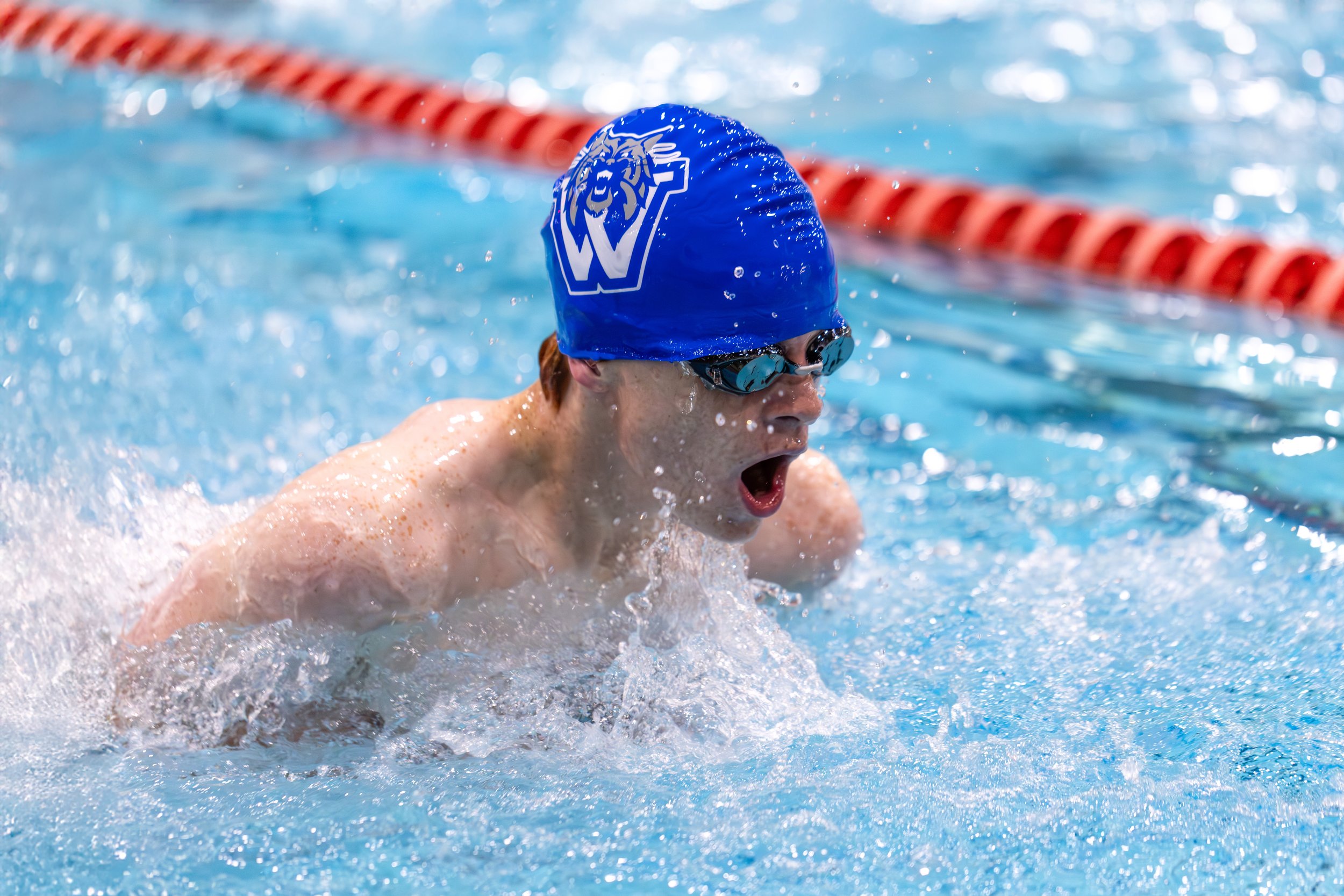 swim-2.jpg