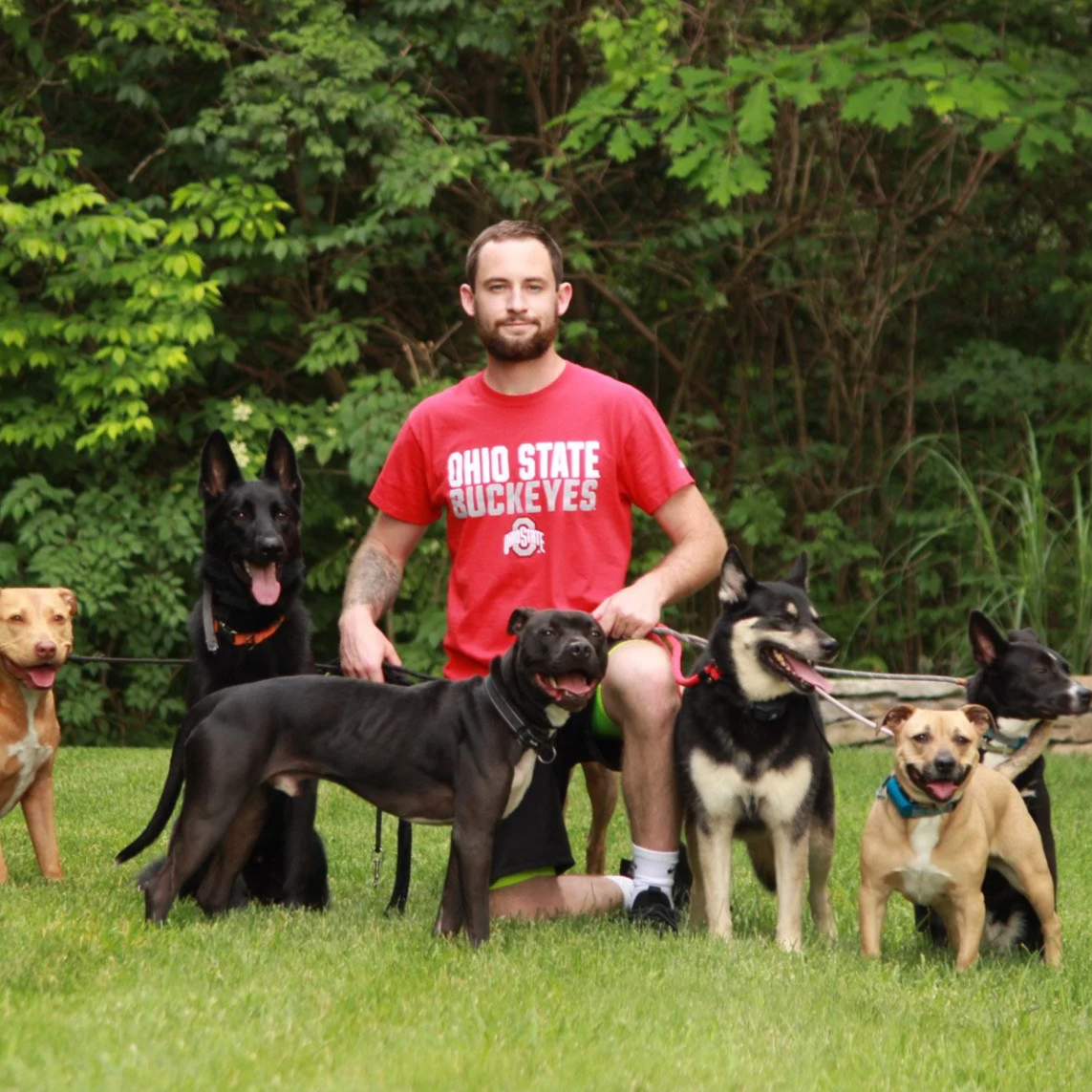 Man in an Ohio State Buckeyes shirt posing with six dogs on a grassy lawn.